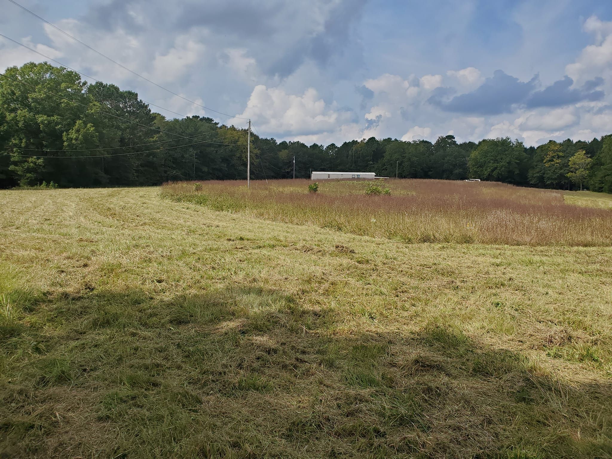 Lawn Care for Jimmy's Tractor & Landscaping Service LLC in Abbeville, South Carolina