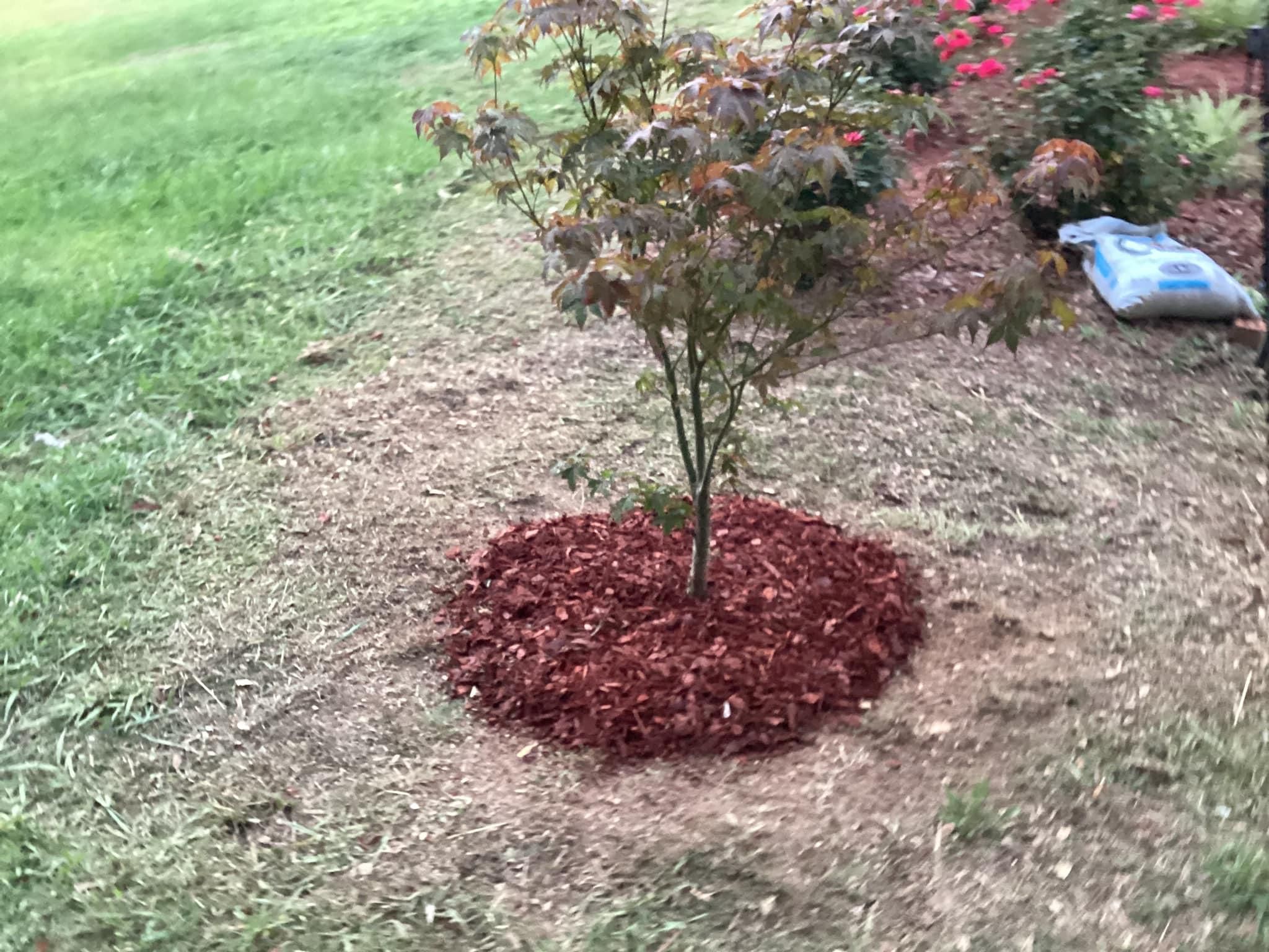  for Xtreme Landscaping & Lawn Care in Lincoln, AL