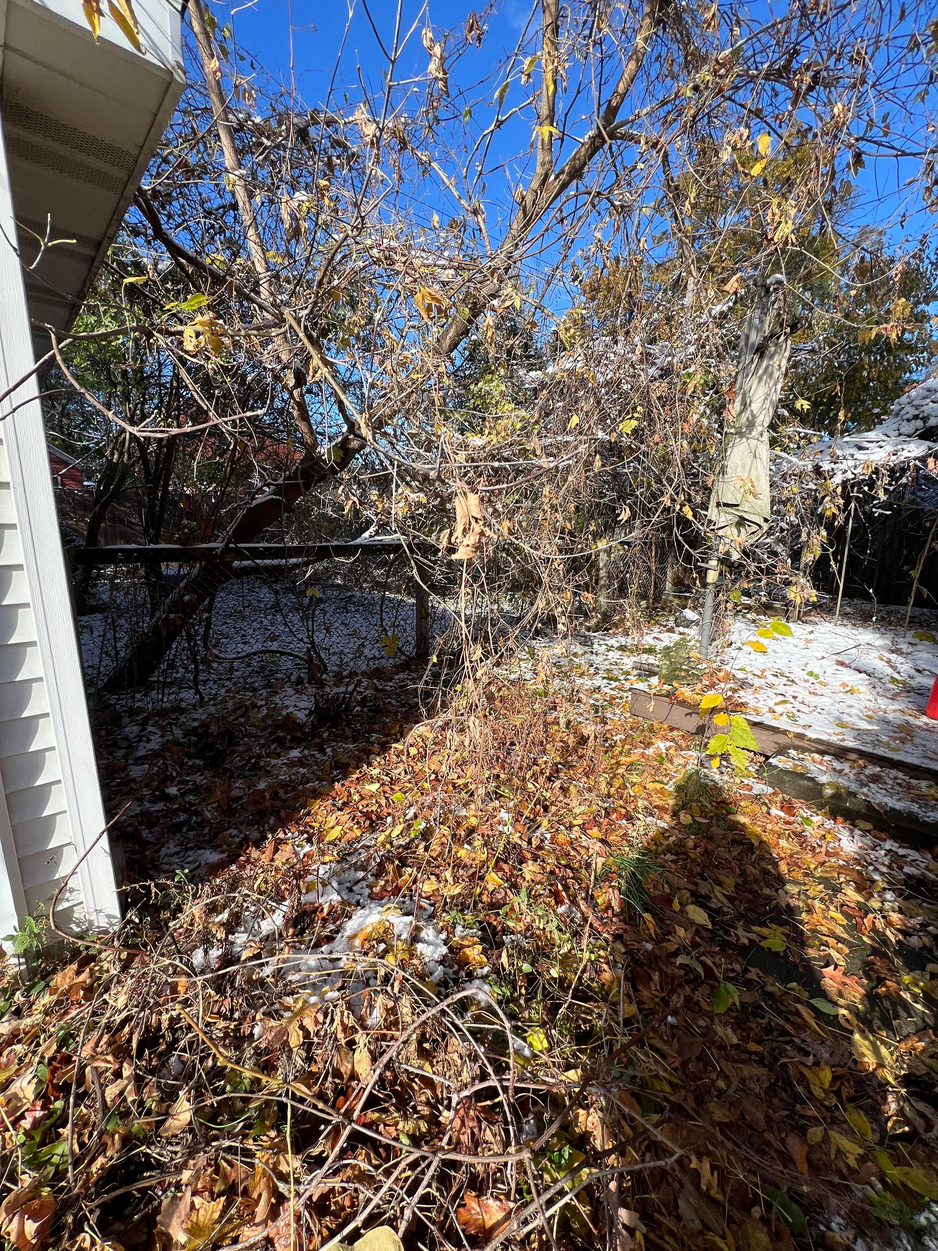  for Alltimate Outdoor Services in Warren, MI