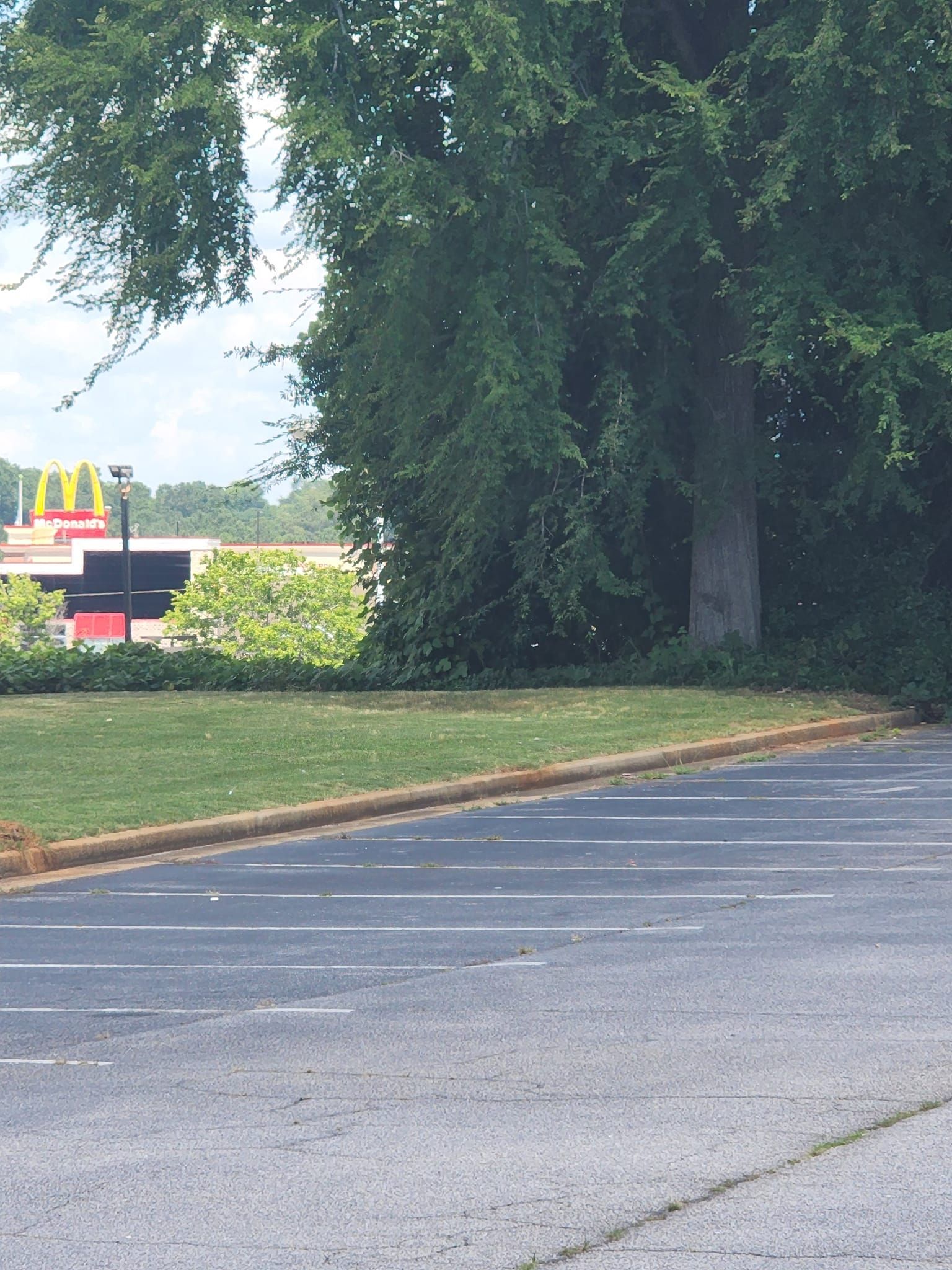  for Reg's Lawn Care Services in LaGrange, GA