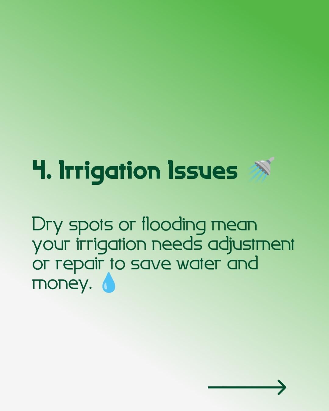 Expert Irrigation Installation & Repairs for Ludlows Services in Clermont, FL