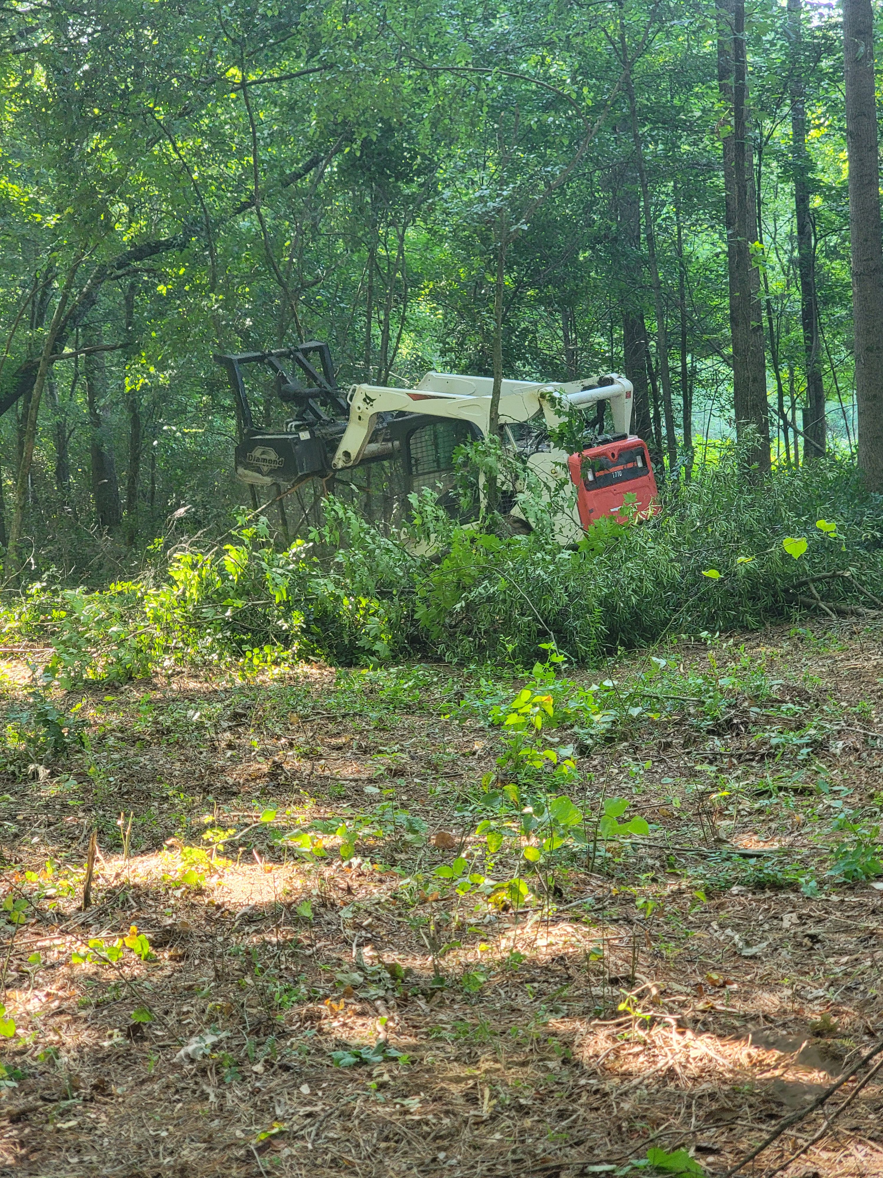  for Z's Land Management & Forestry Mulching in Smithville, TN