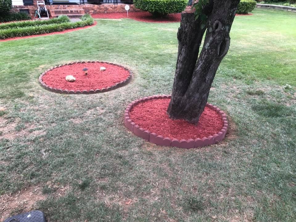  for Shang's Landscaping Service in Columbia, South Carolina