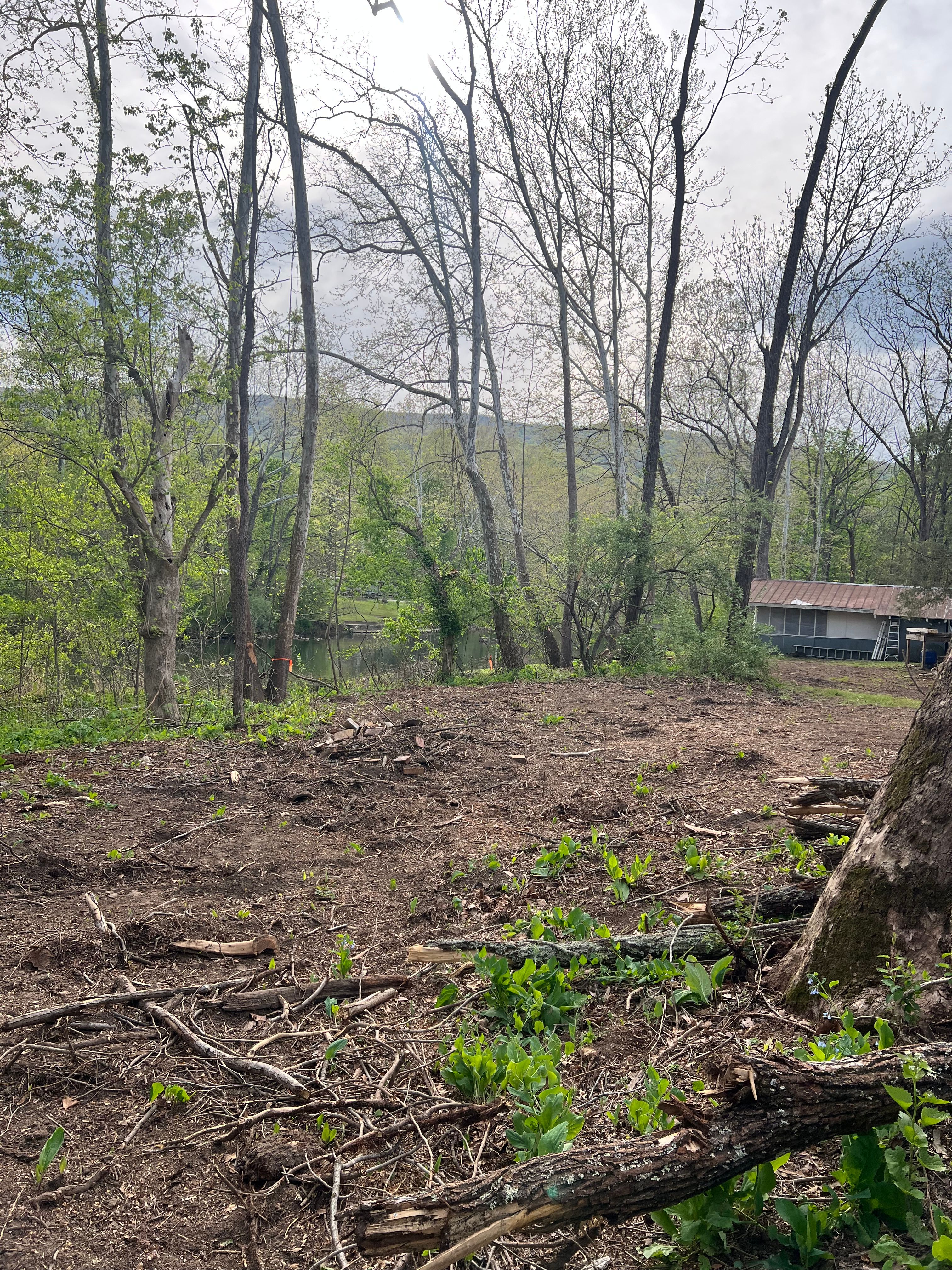 All Photos for Clarke Excavation Co. in Covington, VA