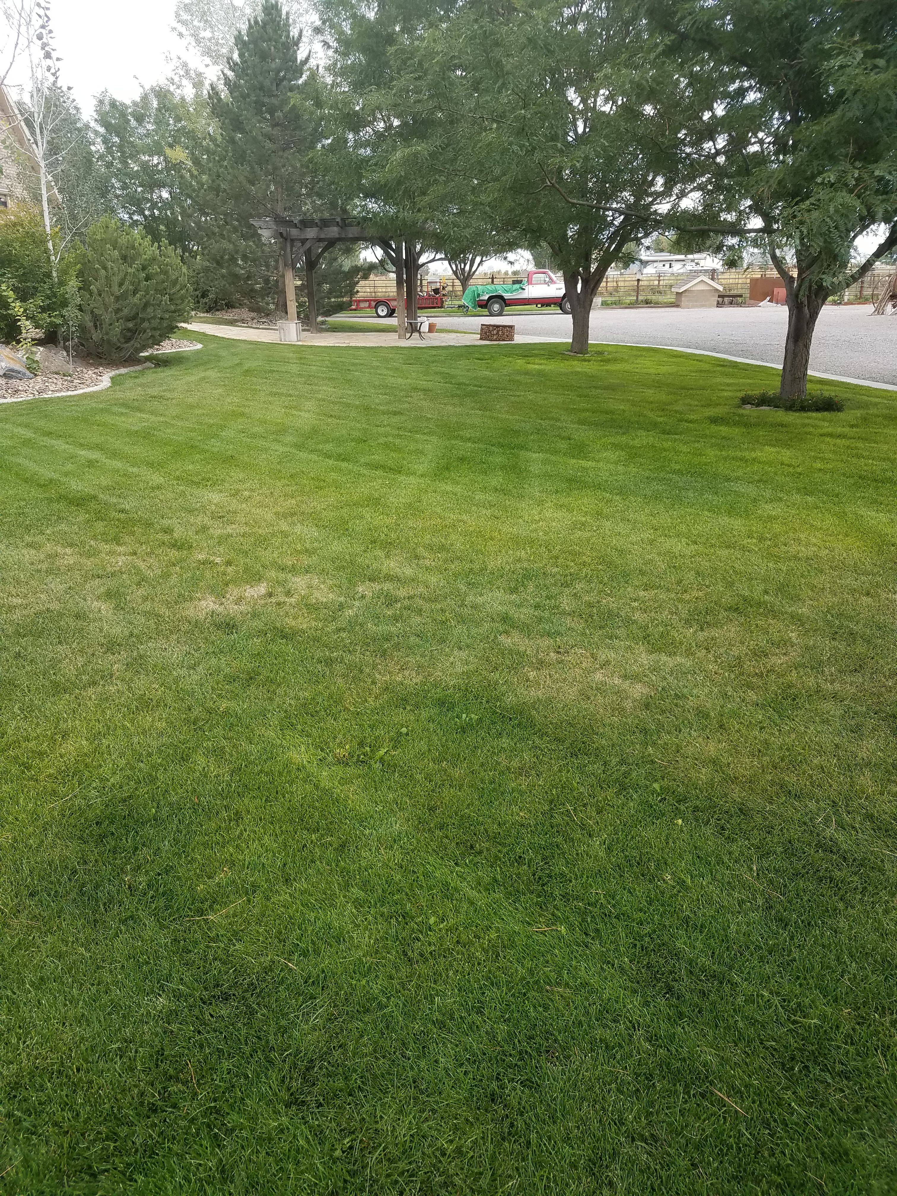 for Platinum Lawn Service in Santaquin, UT