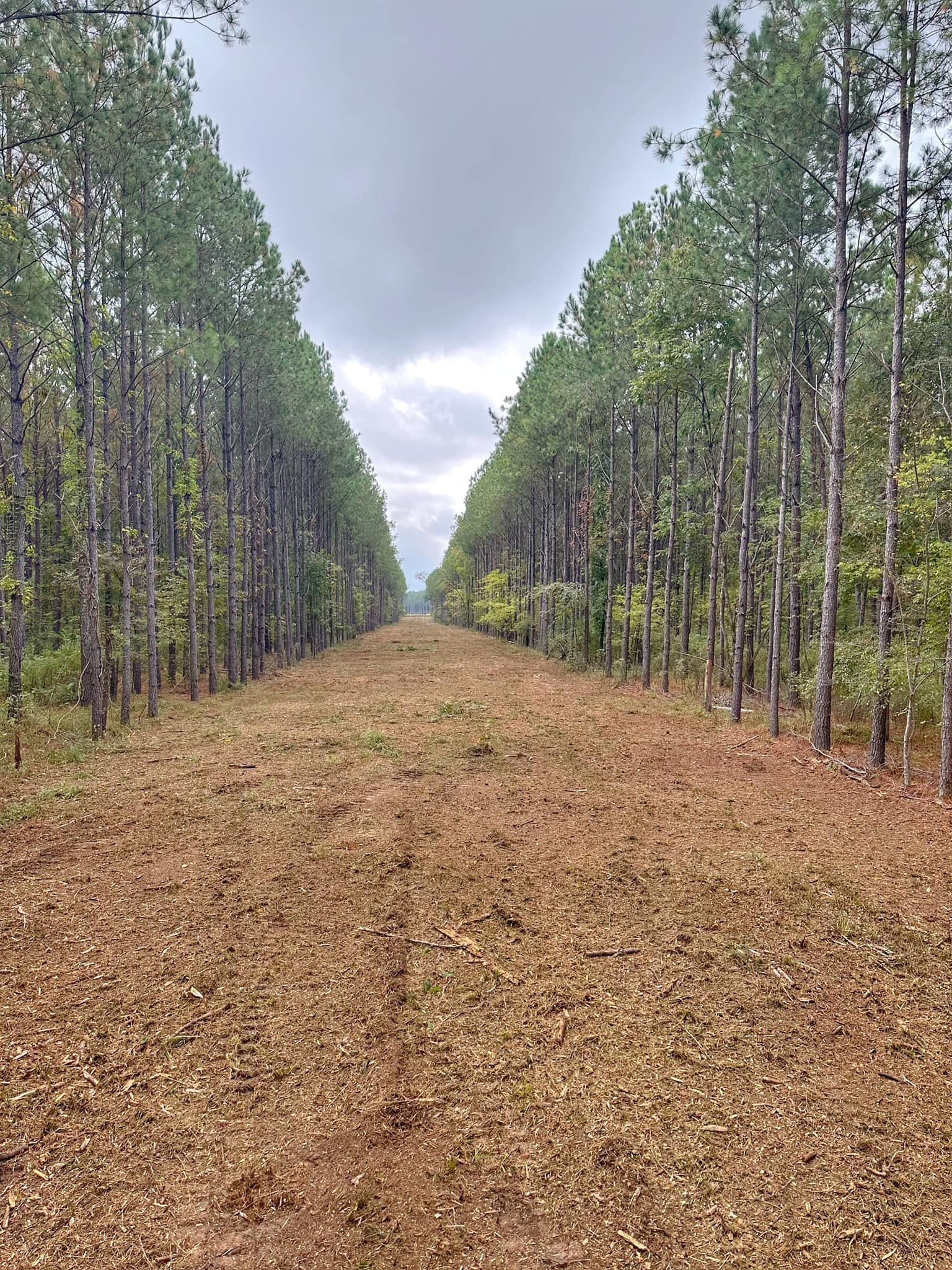 Excavating for Central Alabama Site Works in Selma, AL