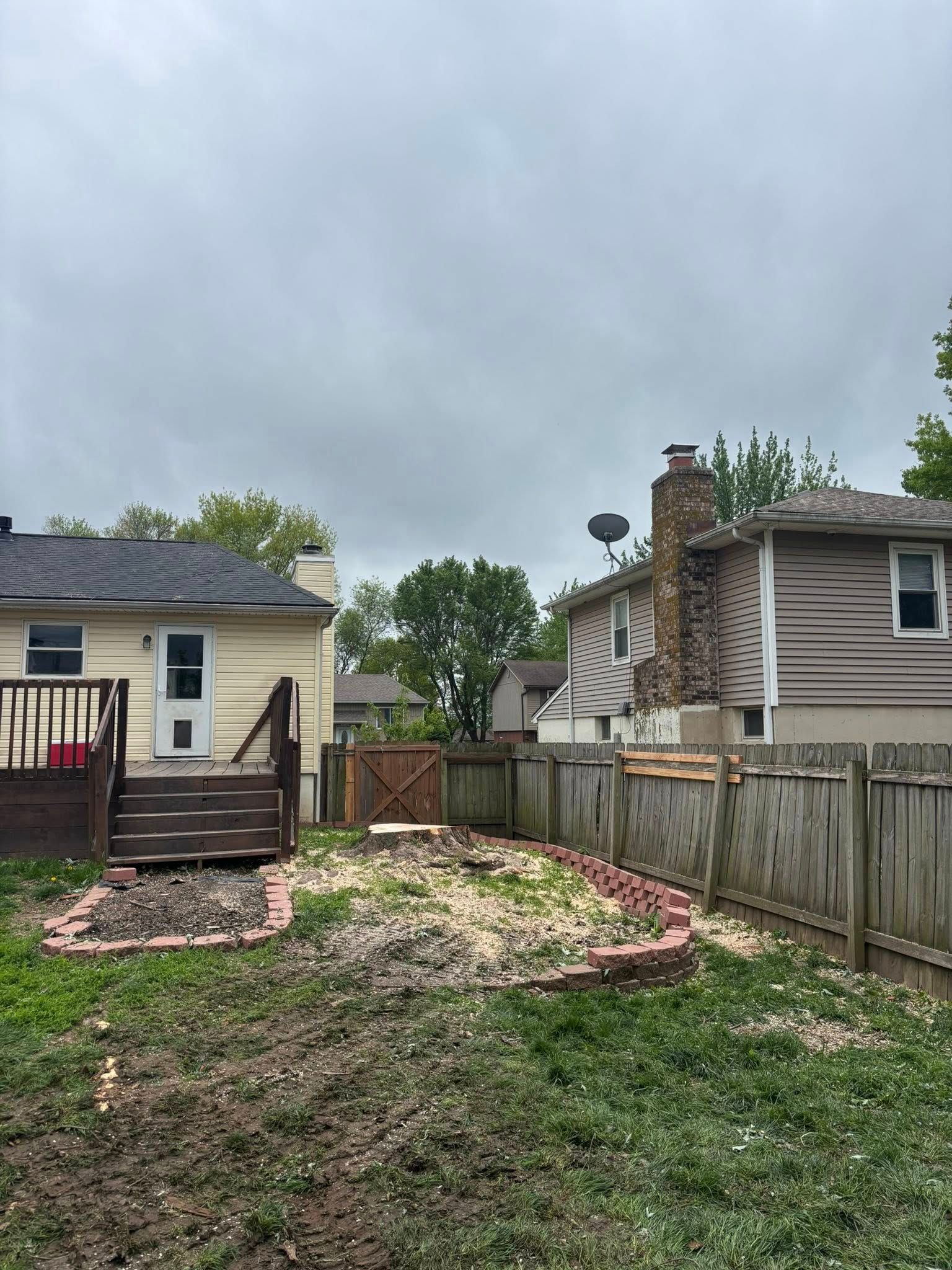 Tree Removal for Cross Family Tree Service in Kearney, MO