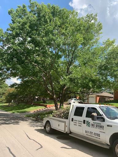  for TLC Professional Tree Service in Bedford, TX