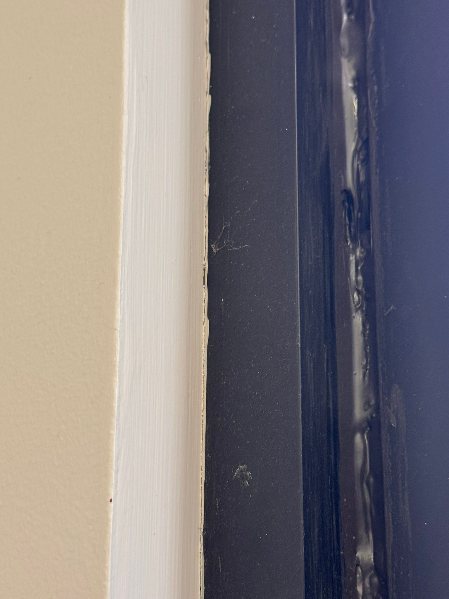  for Tony's Remodeling & Painting in Renton, WA