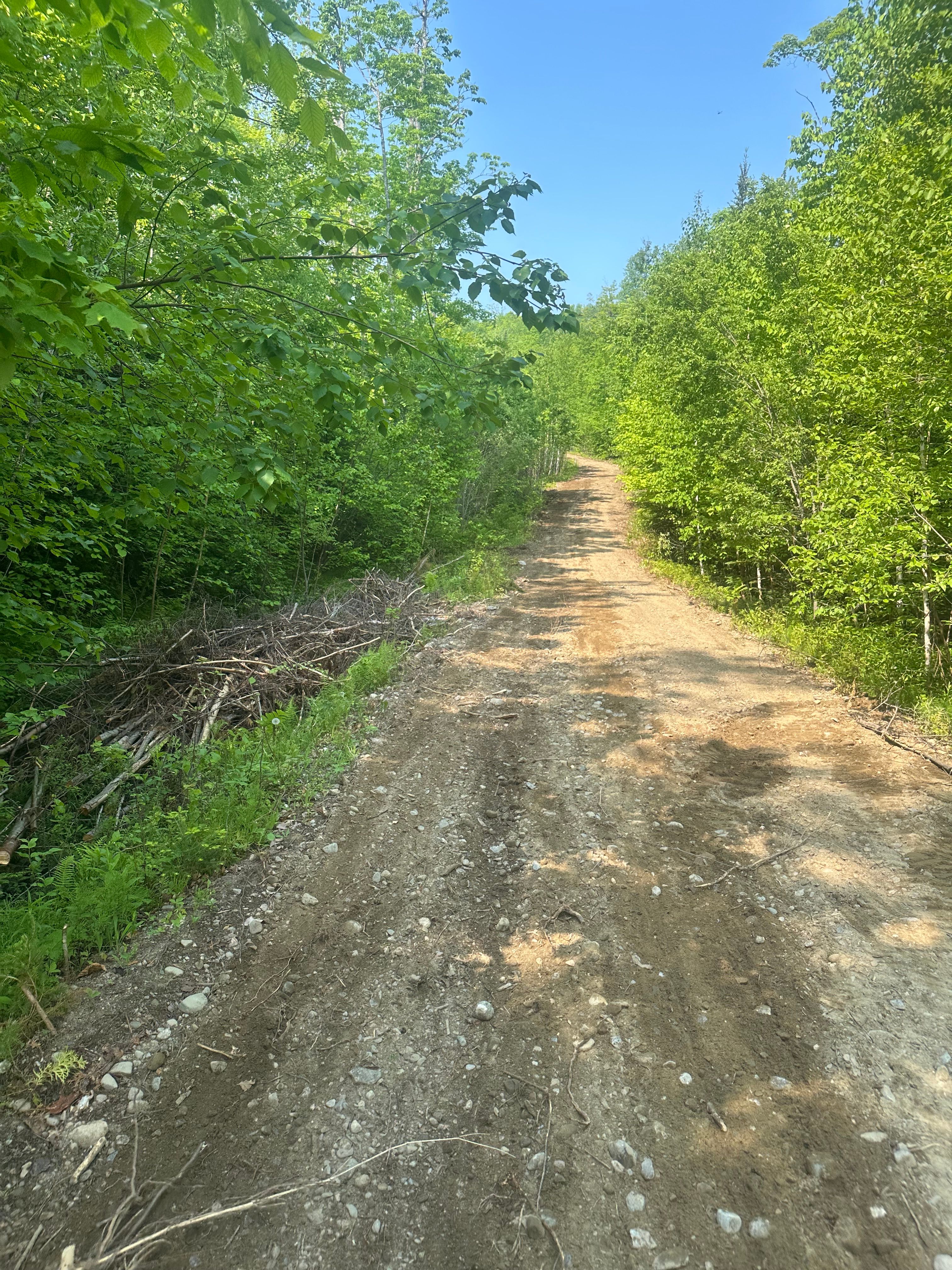  for CWB Lawn Care & Landscaping in Franklin County, ME