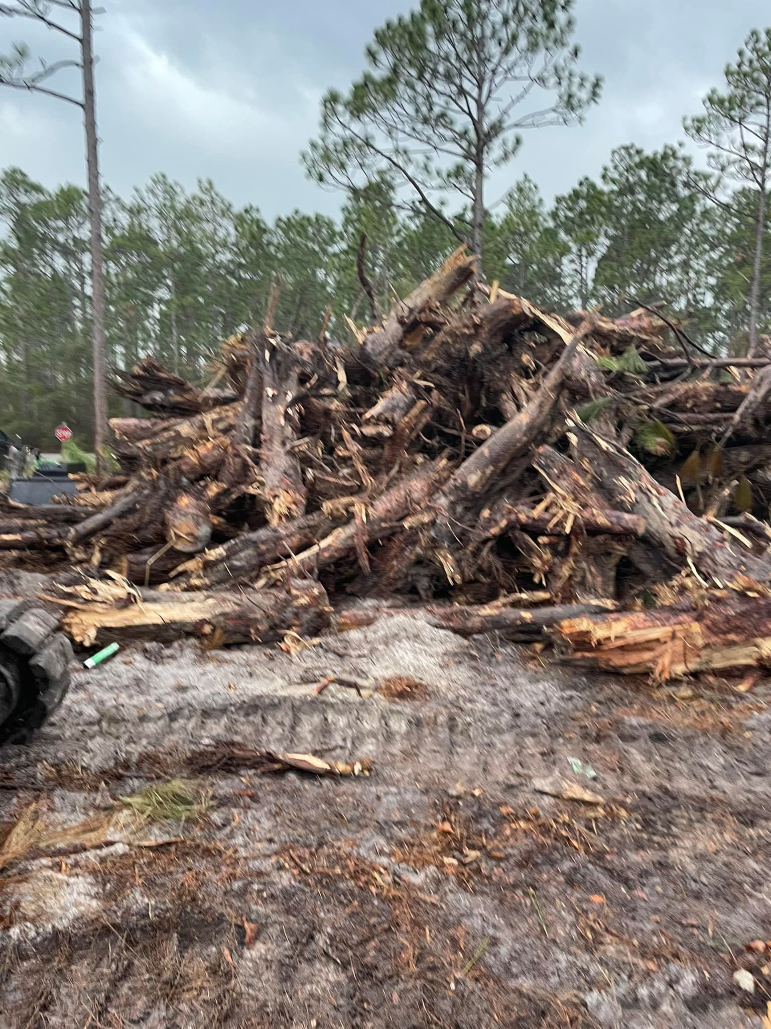  for Coastal Bush Hogging & More in Supply, NC