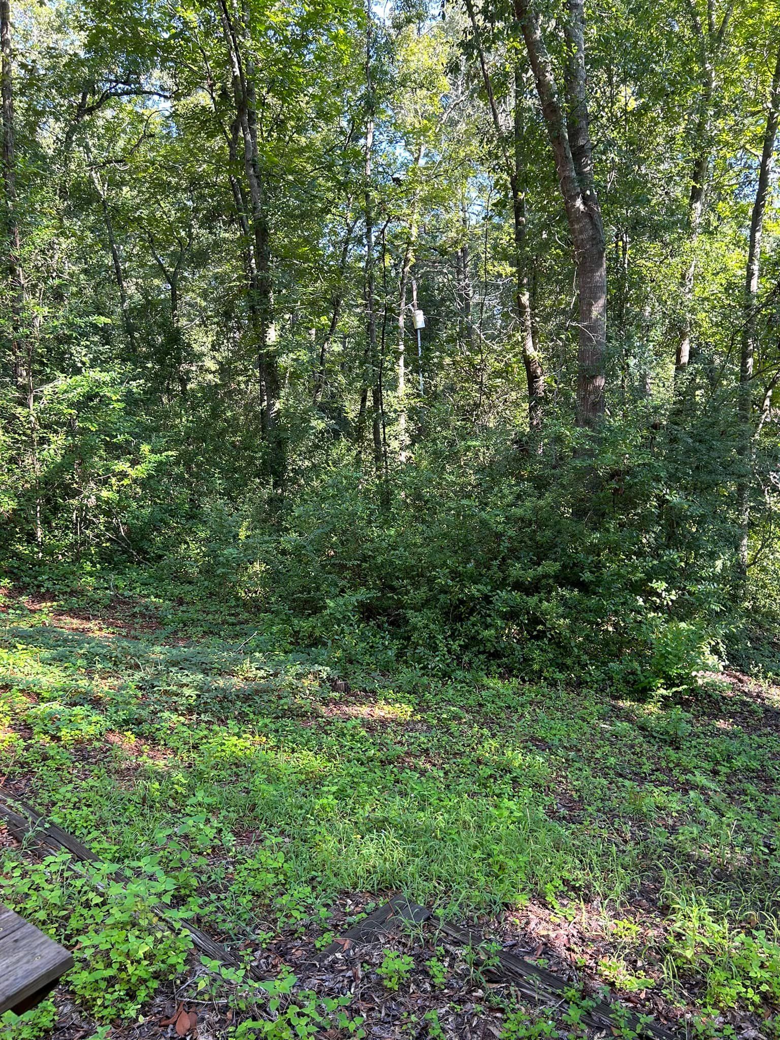  for Linhale Landscaping & Lawn Care in Florence, SC