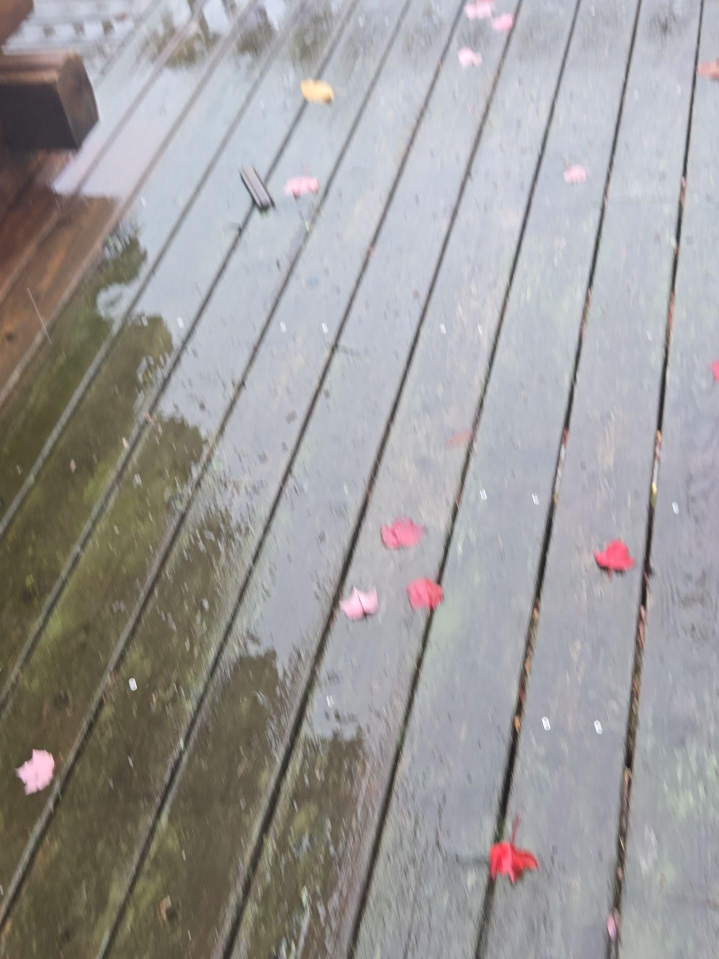  for Jalbert Contracting LLC in Alton, NH