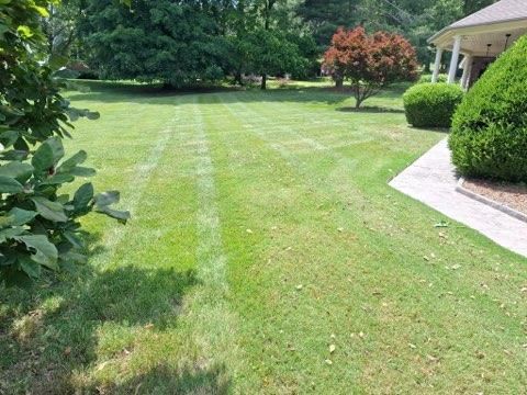  for Pro Lawn and Landscape in White Bluff, TN