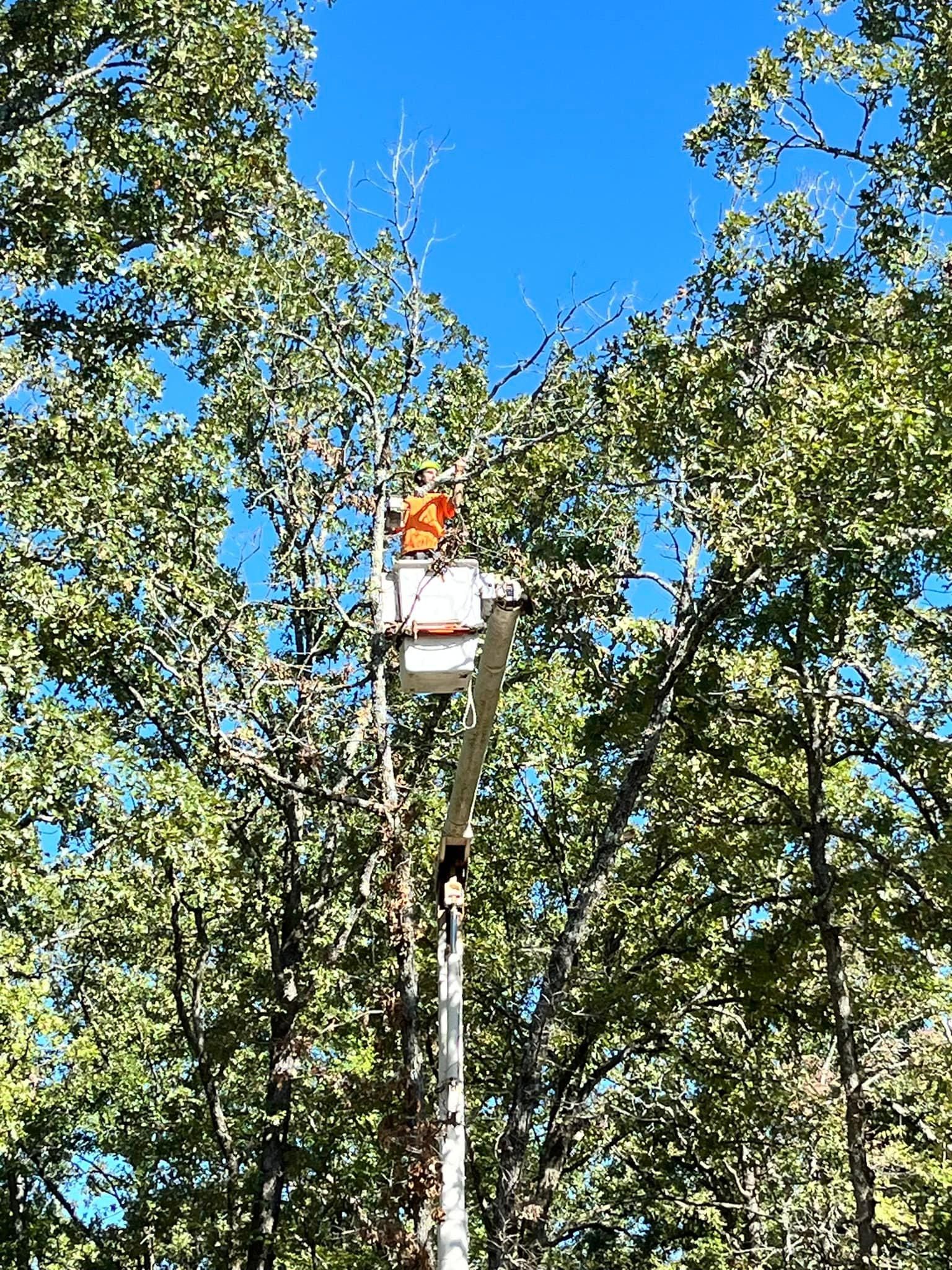  for H n H Tree Service in Taneyville, MO