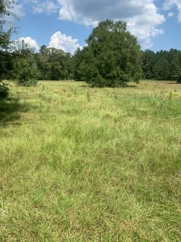  for JT’s Landscaping in Tyler County, TX