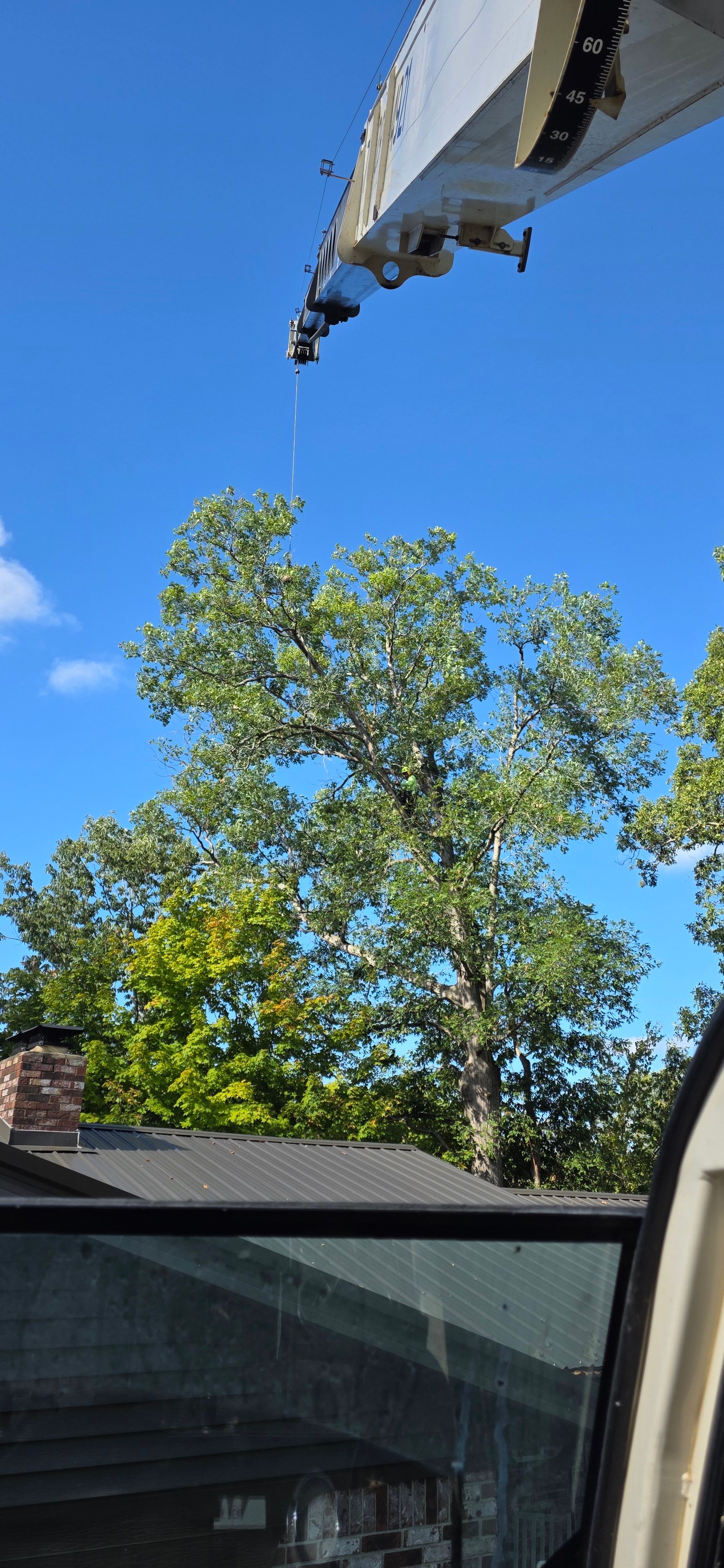  for Advanced Tree Solutions in Rockville, IN