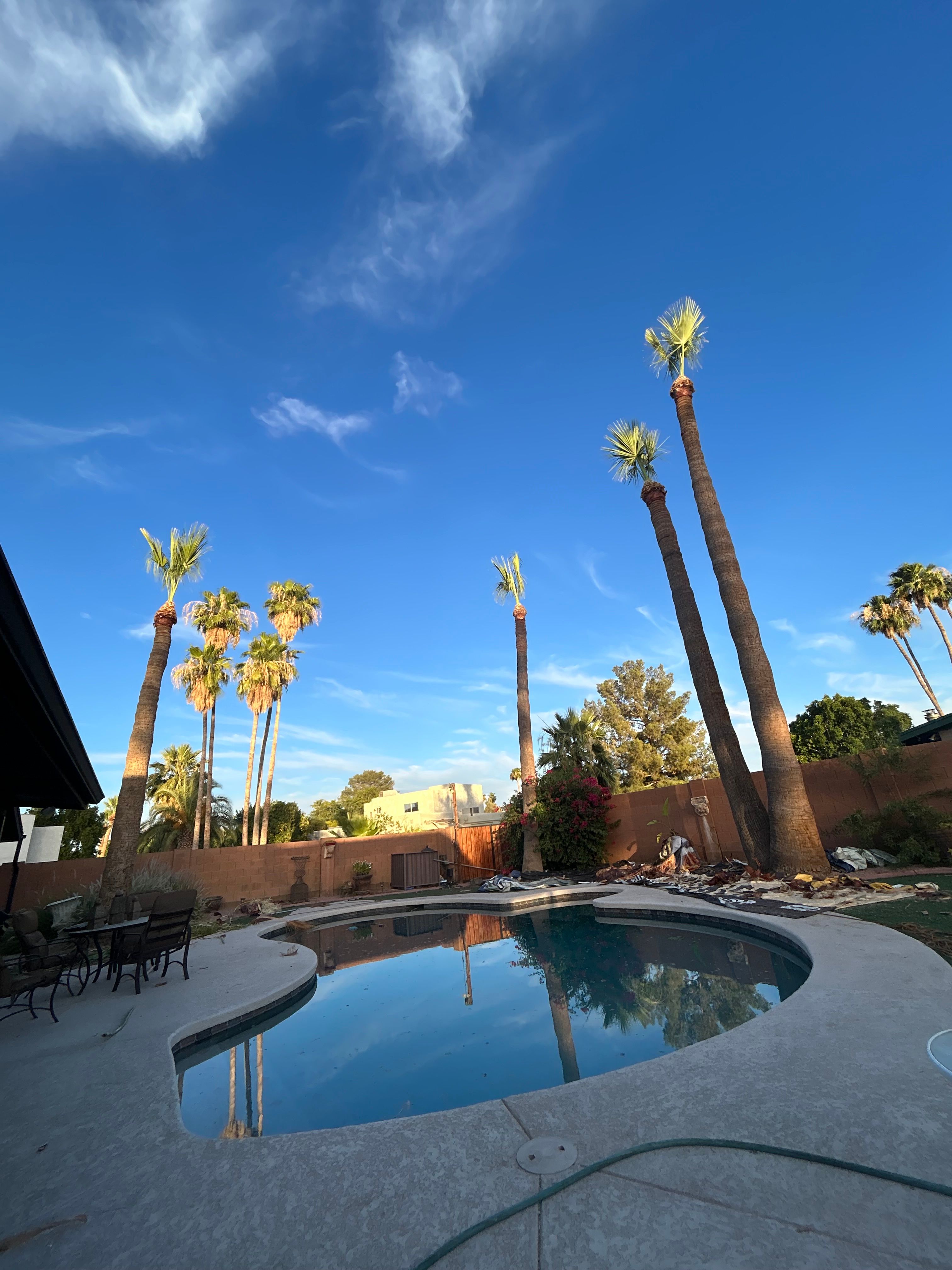  for Copperhead Solution in Phoenix, Arizona