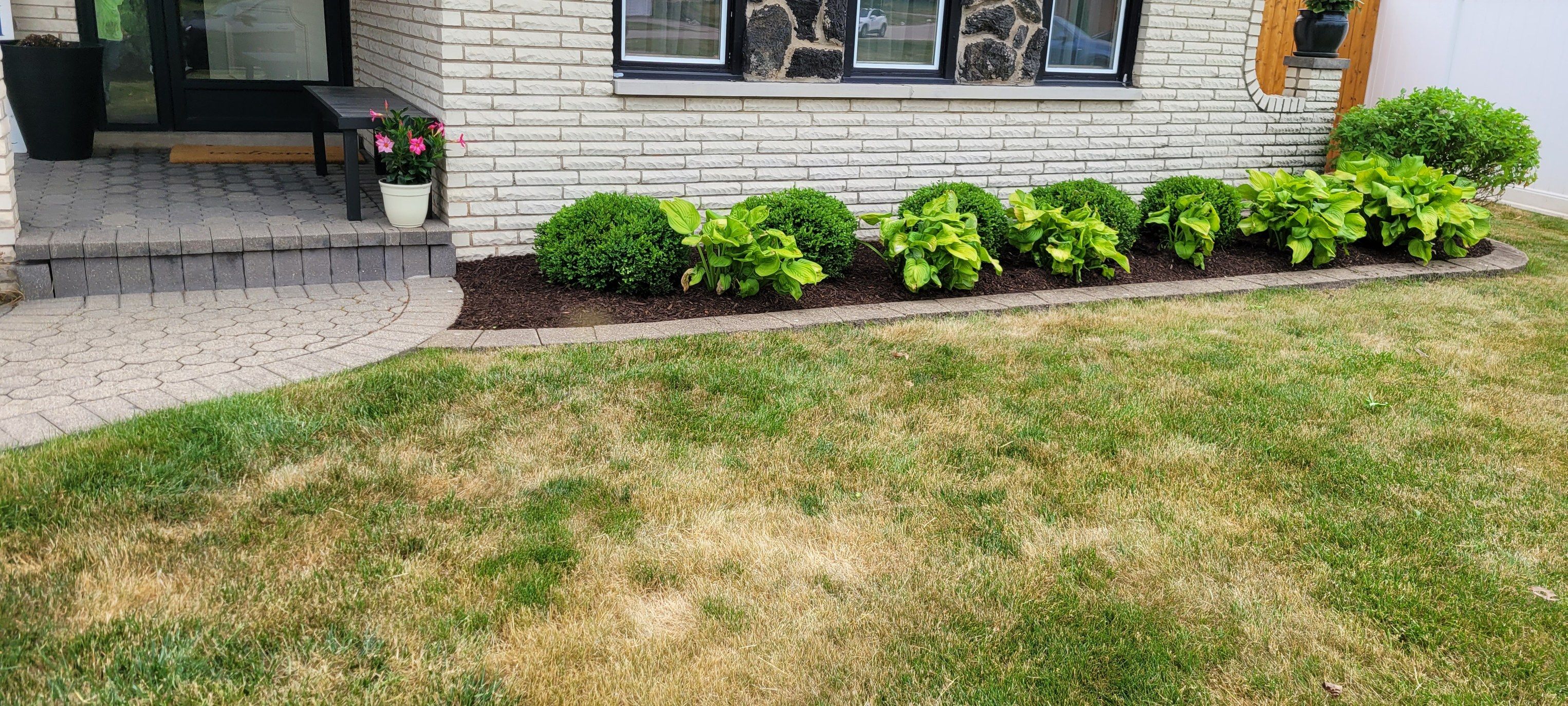 All Photos for Sals Lawn and Landscape in Oak Lawn, IL