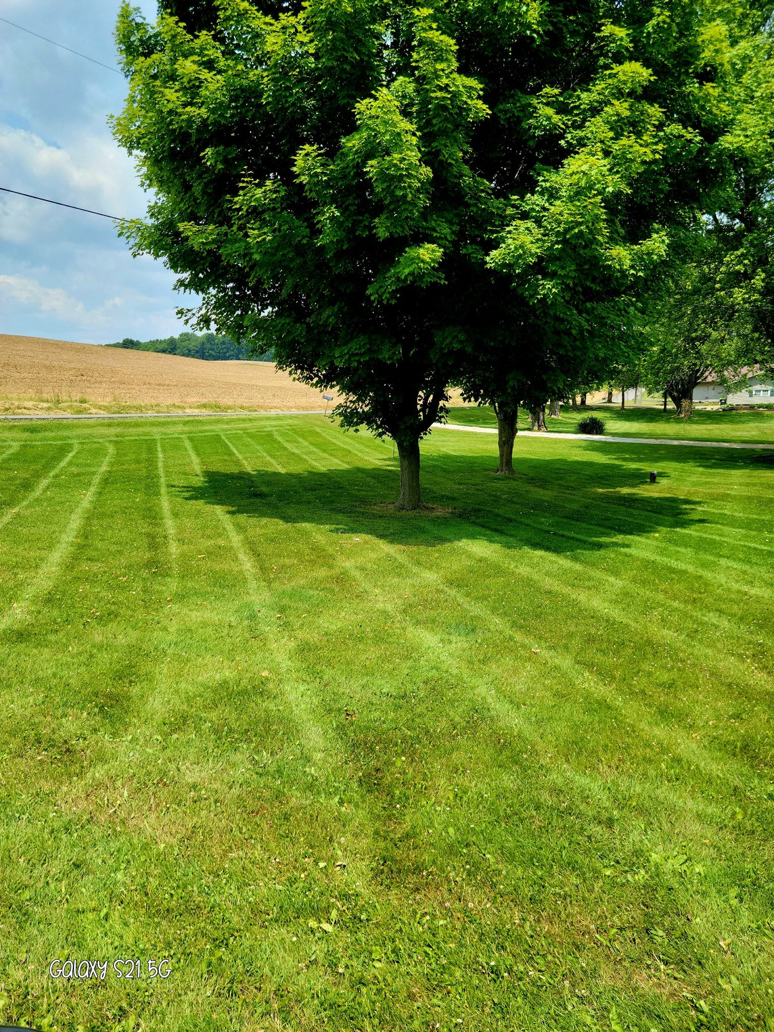  for A&A Lawnworks in Maximo, OH