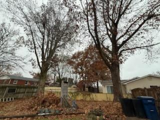 All Photos for Dittmer Tree Service in Davenport, IA