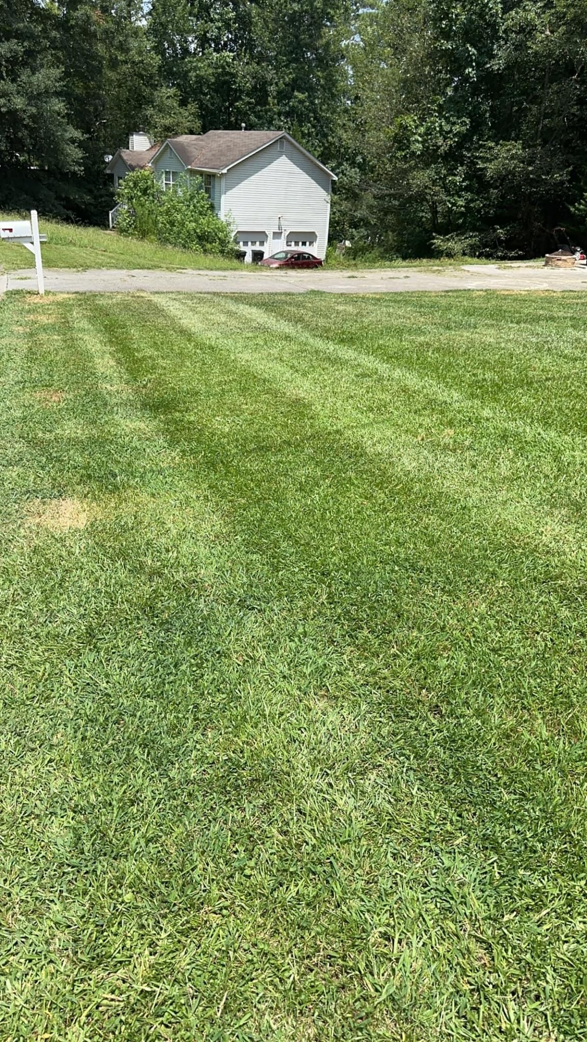 Mowing for Cowboys Lawn Care & Pressure/Soft Washing in Carrollton, Georgia