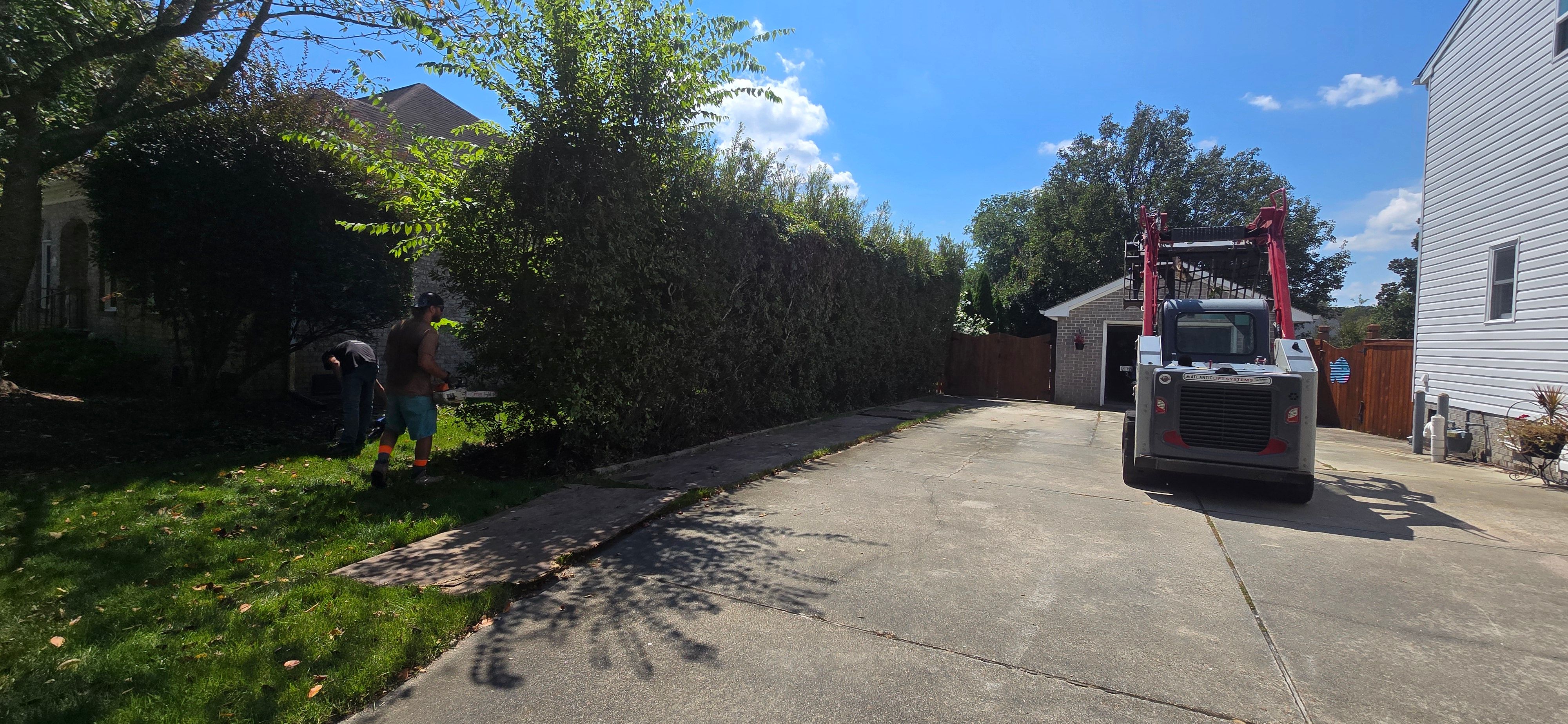  for Beach Tree Care in Virginia Beach, VA