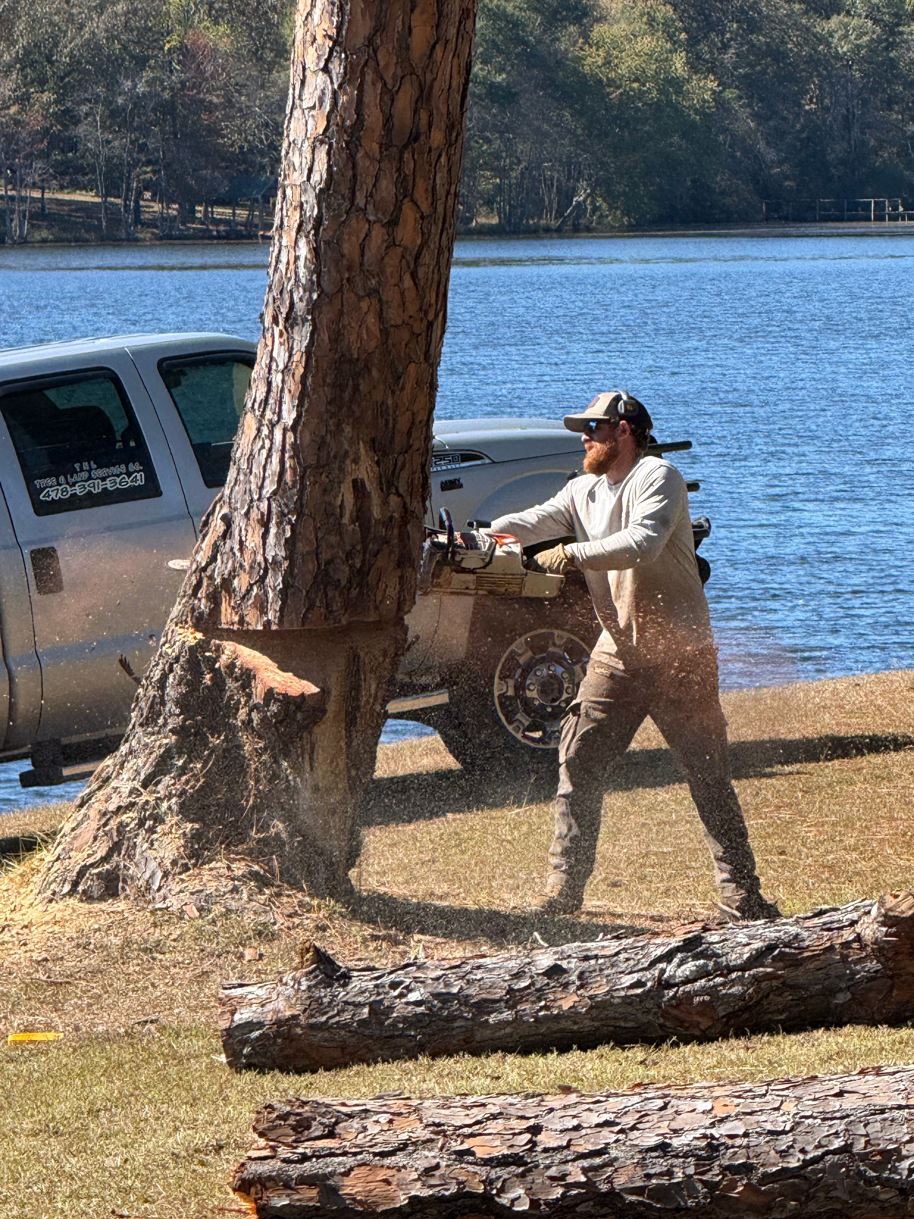 for T N L - Tree and Land Service in Reynolds, GA