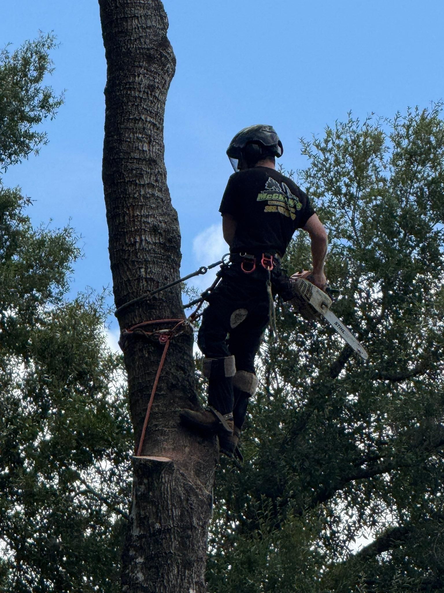  for McGraw’s Lawn and Tree Service in DeLand, FL