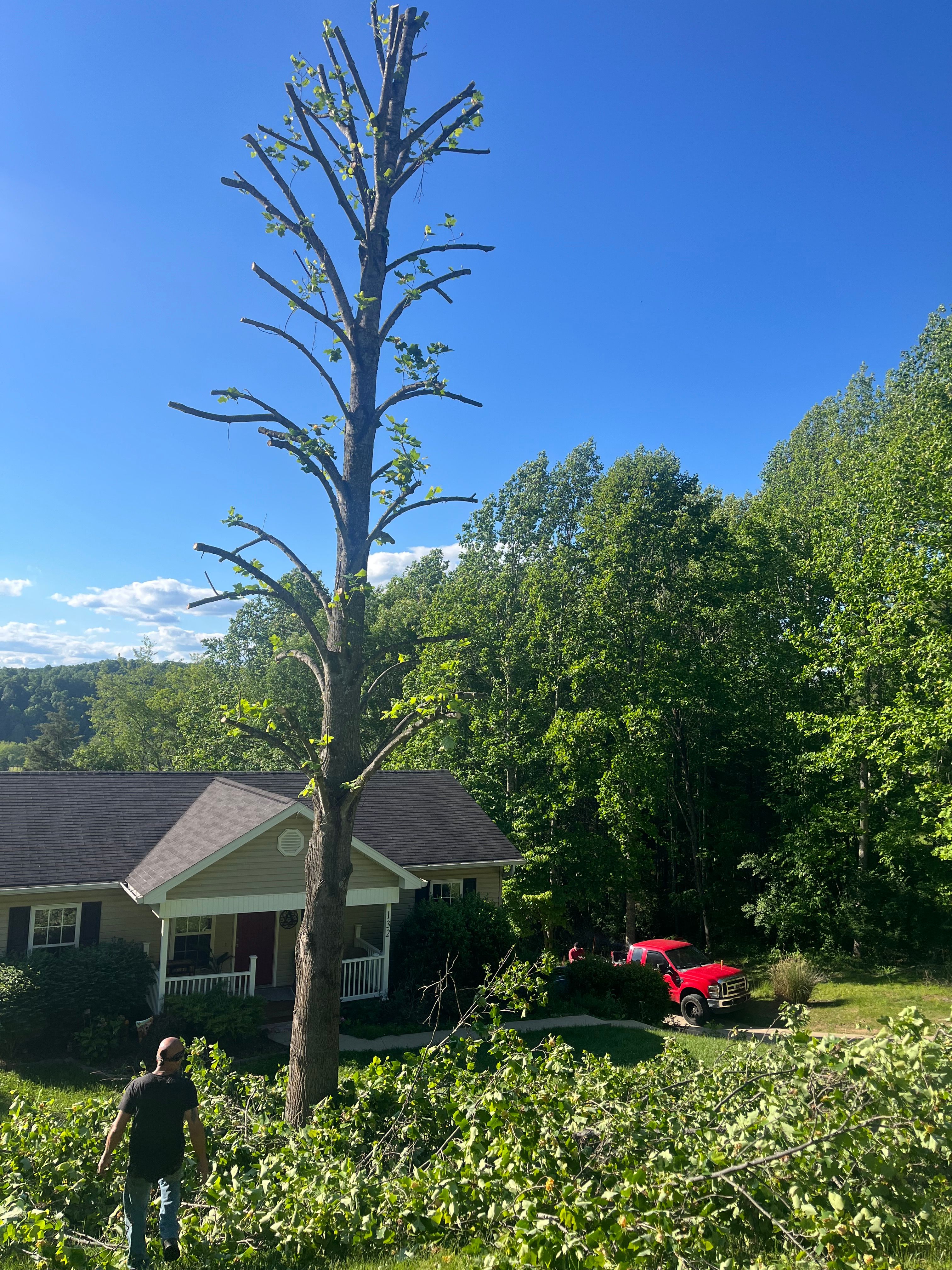  for Taylors Enterprises in Johnson City, TN