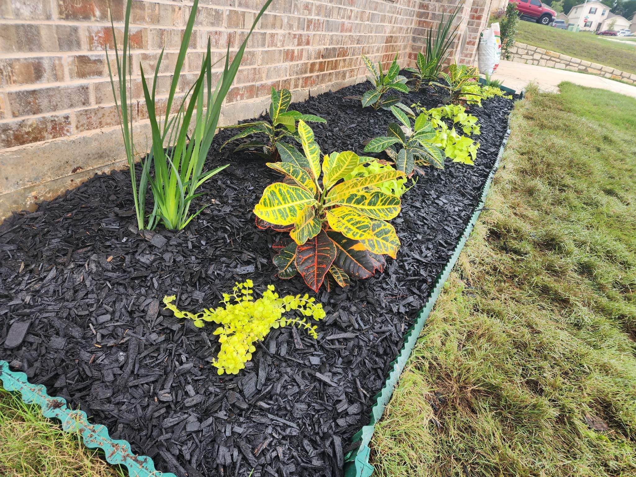  for Pina Landscaping in Austin, TX