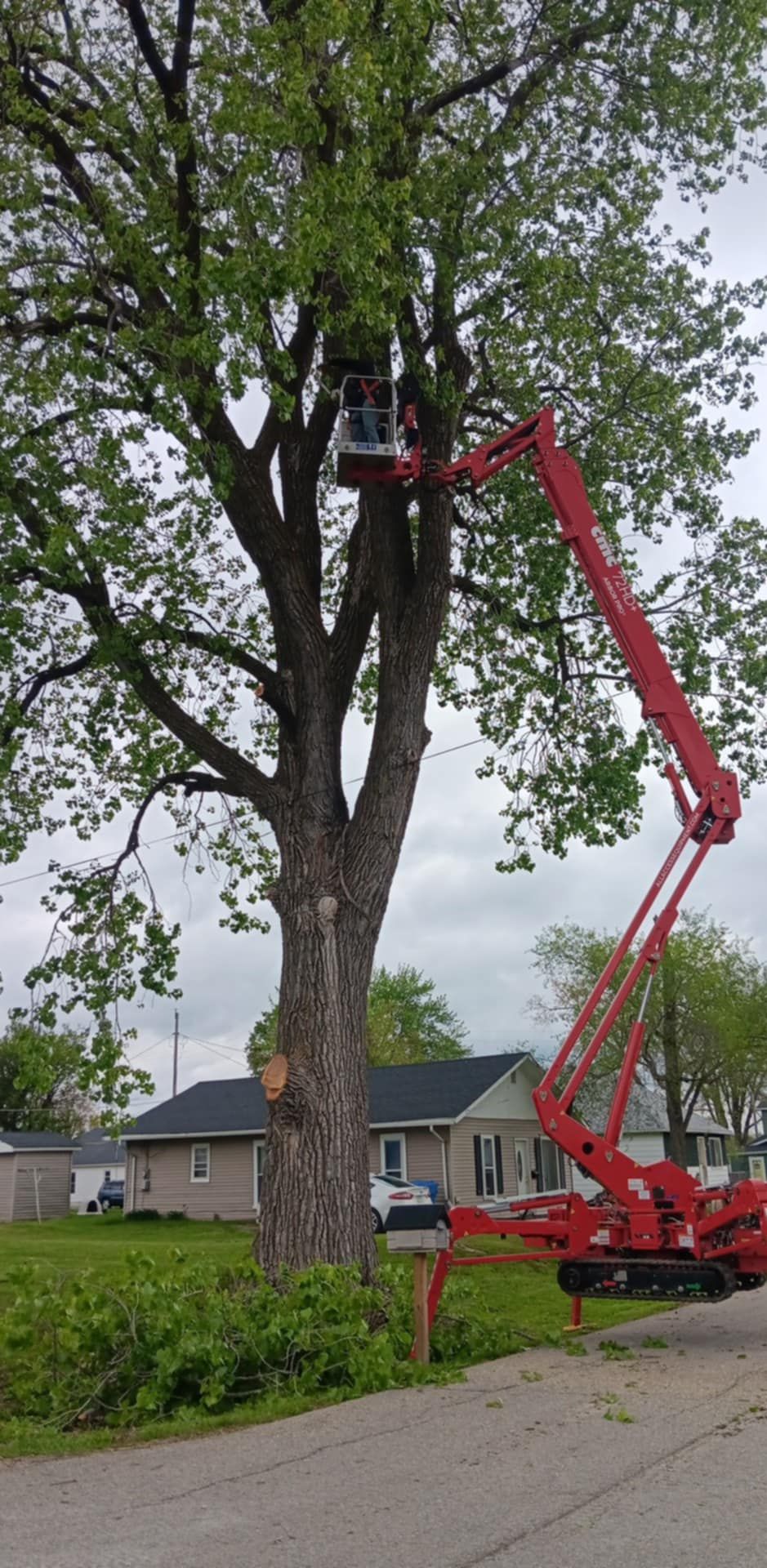  for Lawn Ranger Yard And Tree Service LLC in Ottumwa, IA