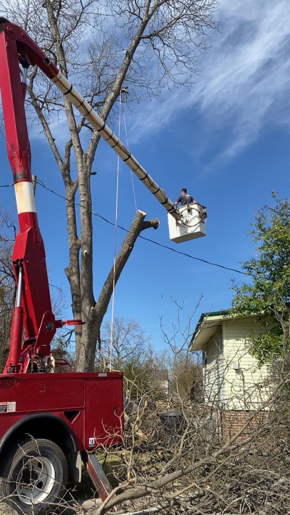 for Jeff’s Tree Service in Southside, AL