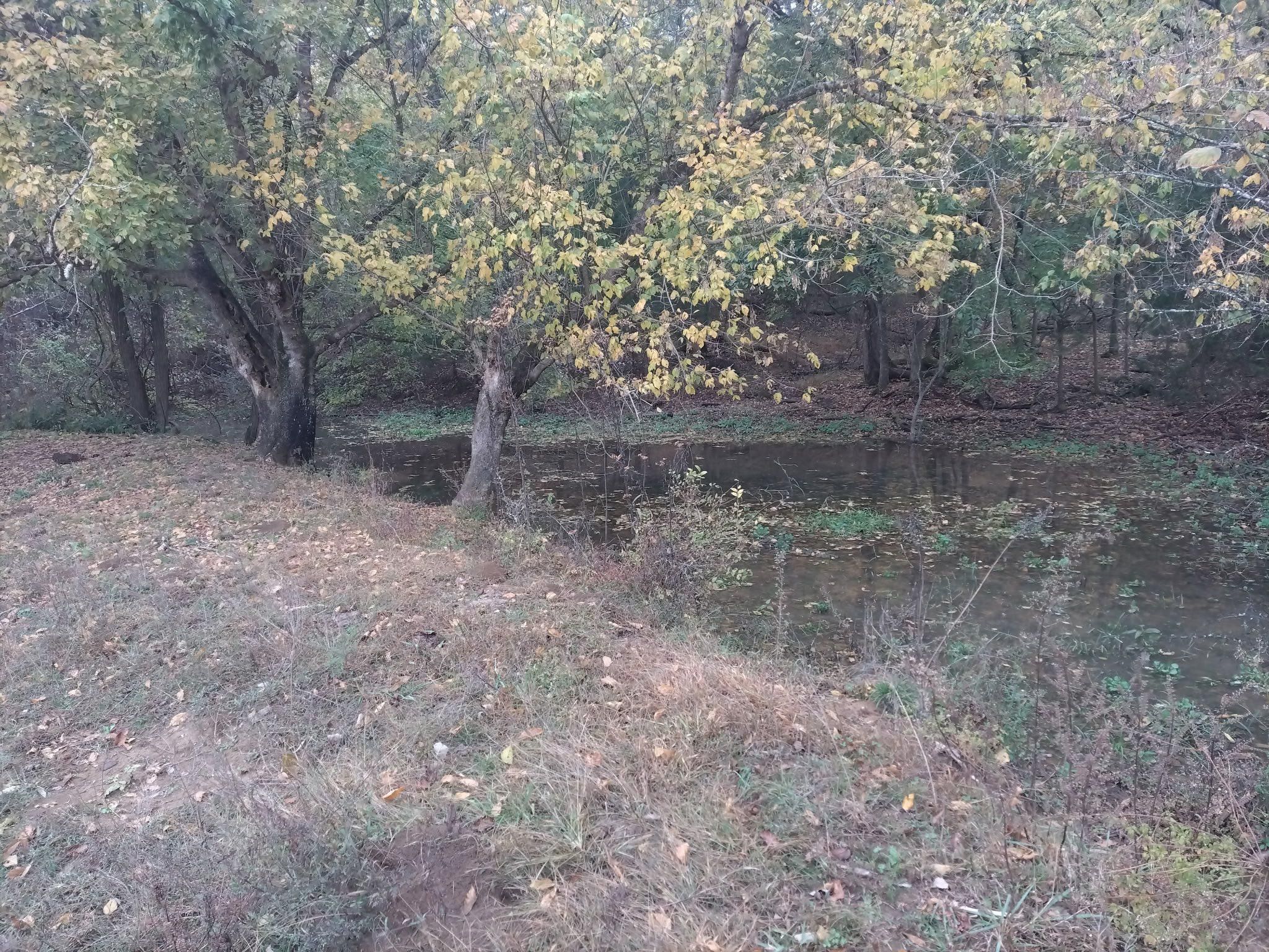 All Photos for King of Dirt in Cornersville, TN