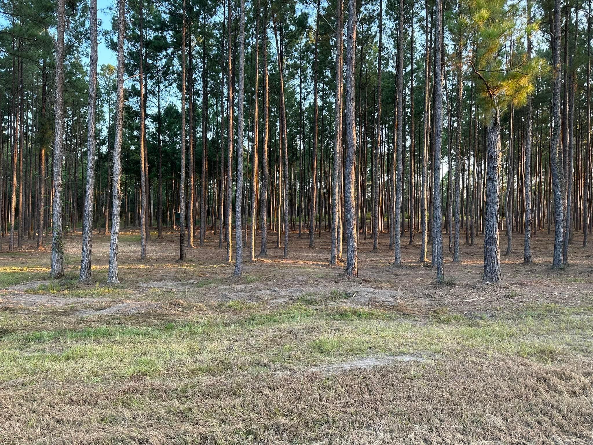 All Photos for White’s Land Maintenance in Milton,, FL