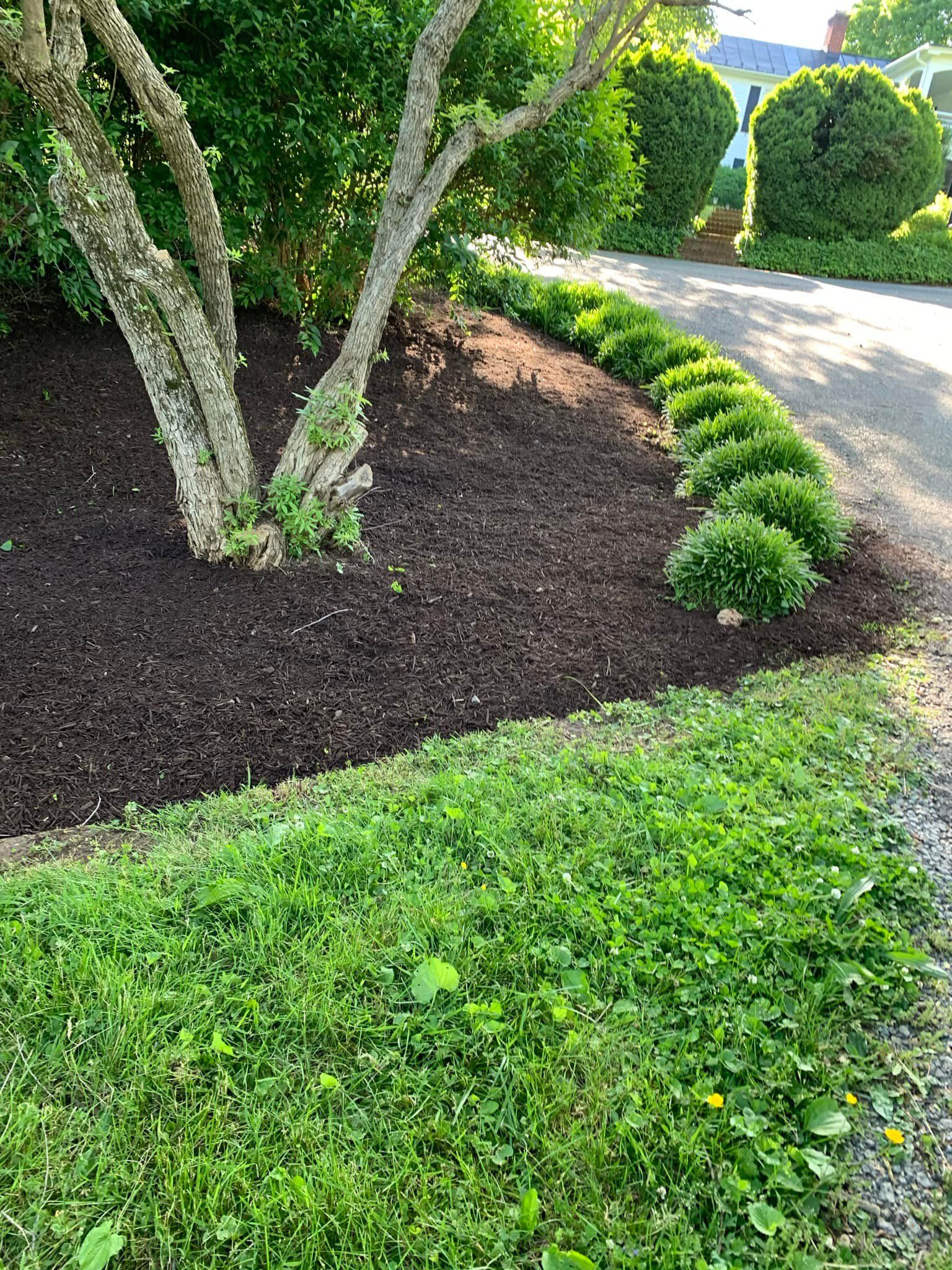  for Valencia’s Lawncare in Charlottesville, VA