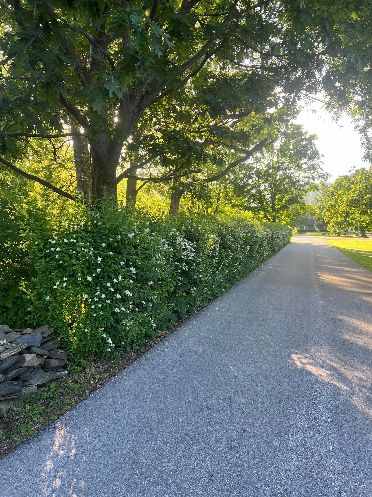 All Photos for Bishop’s Property Maintenance in Franklin, VT