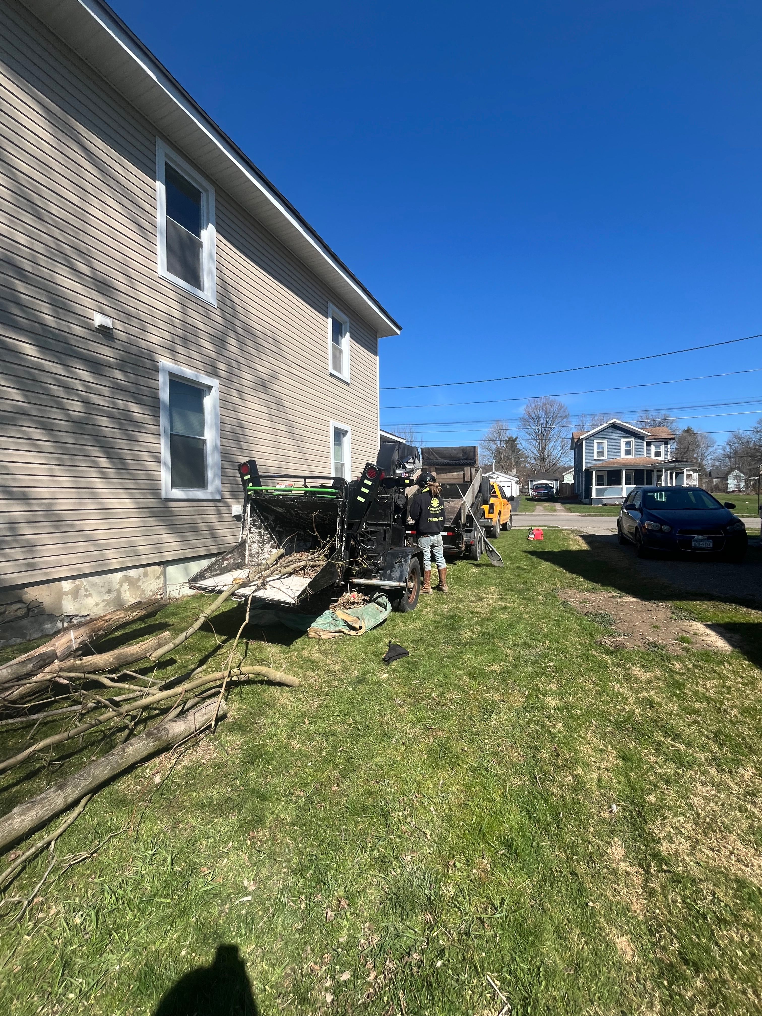 Tree Removal for Licensed to Cut Tree Service in Athens, PA