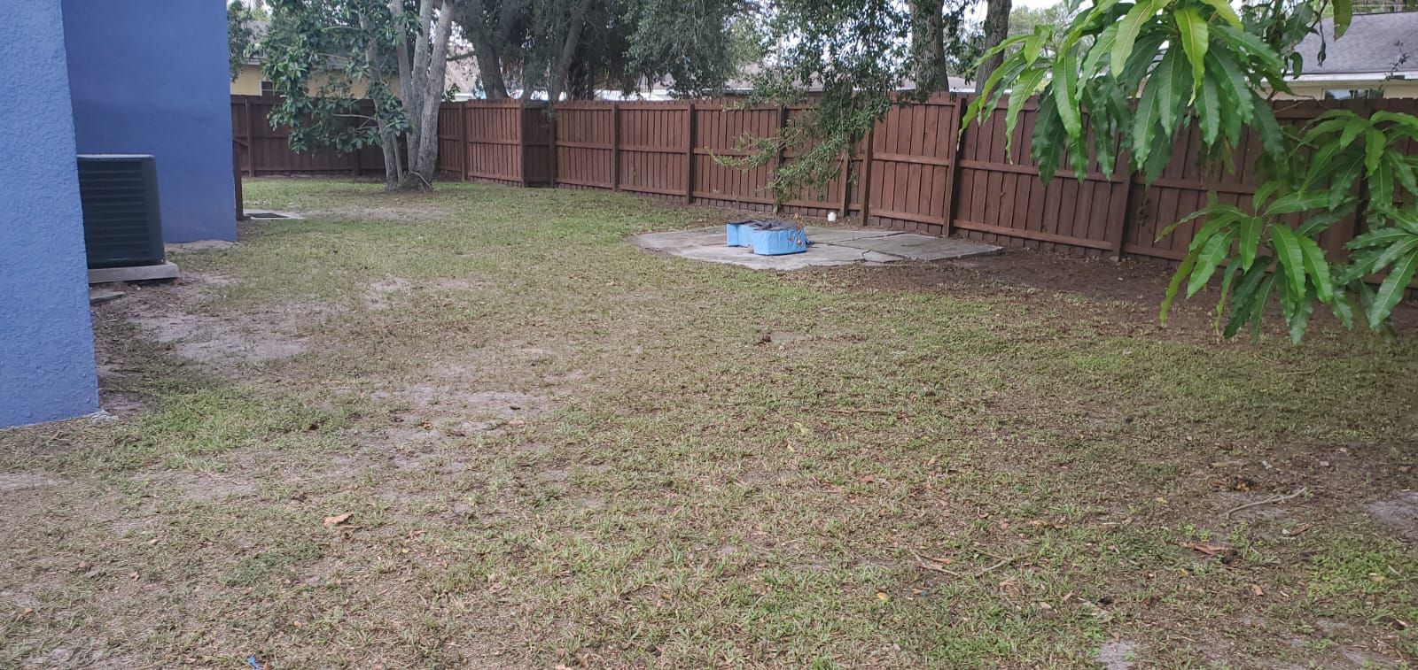  for 1 Friendly Lawn Service in Tampa, FL