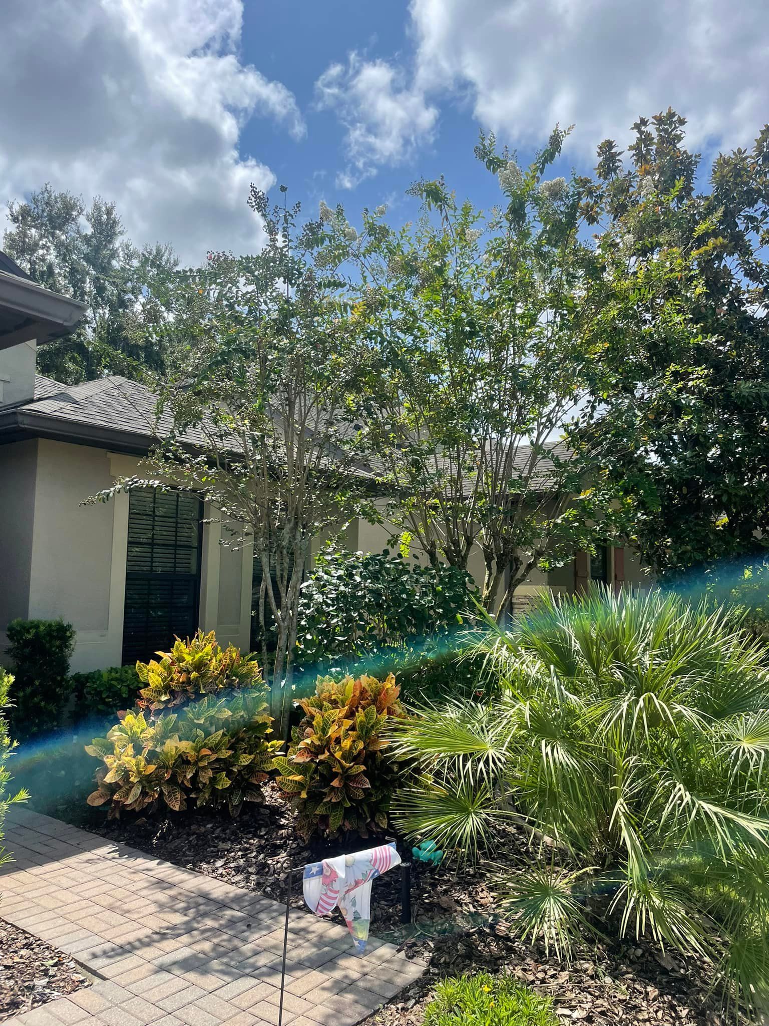  for The Family Tree Care Services LLC in Florida City, FL