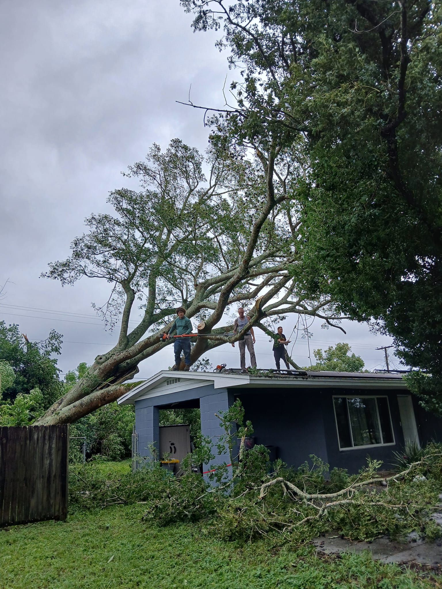  for A Southern Style Tree Service in Orlando, FL