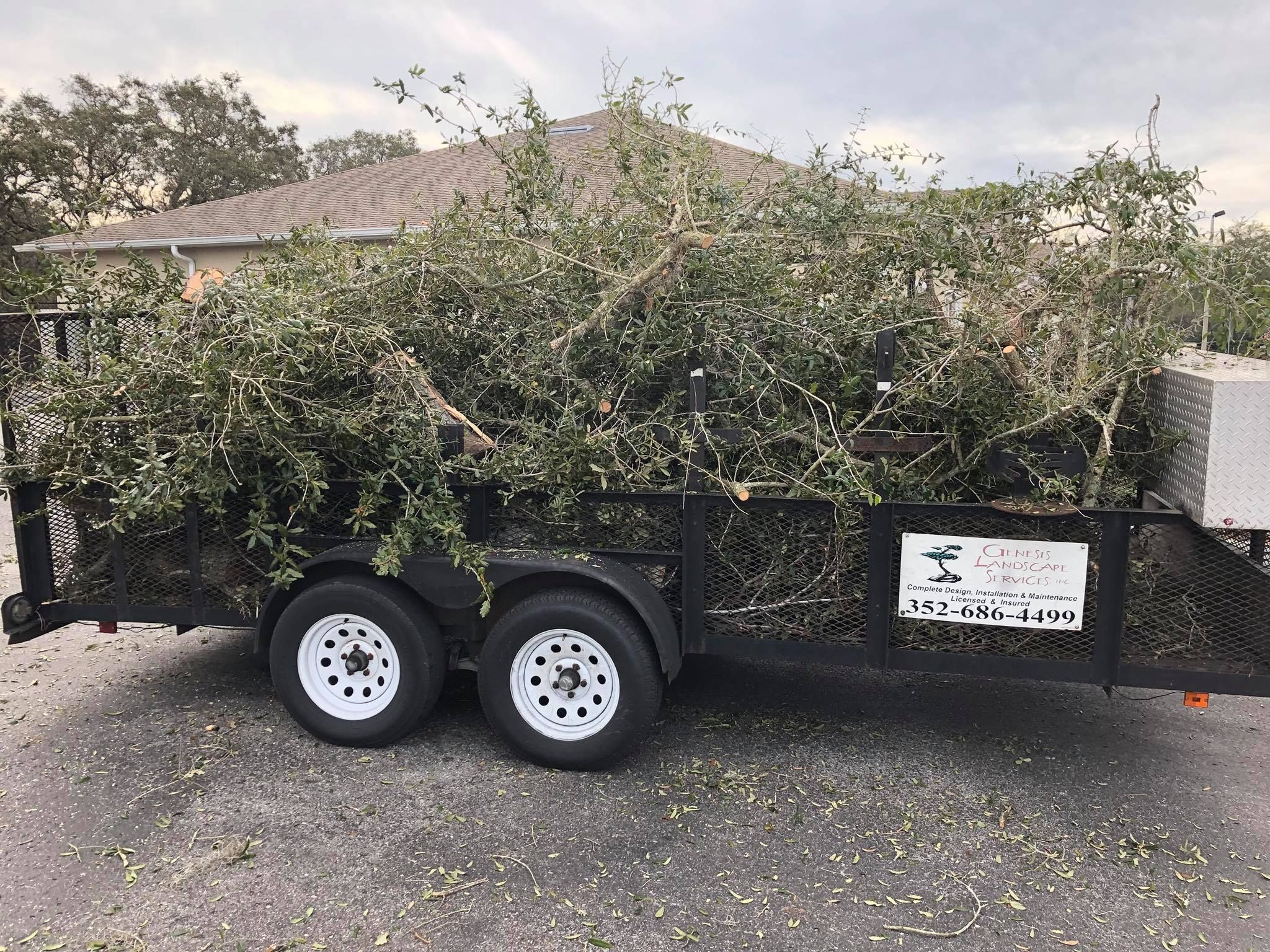  for Genesis Landscape Services in Spring Hill, FL