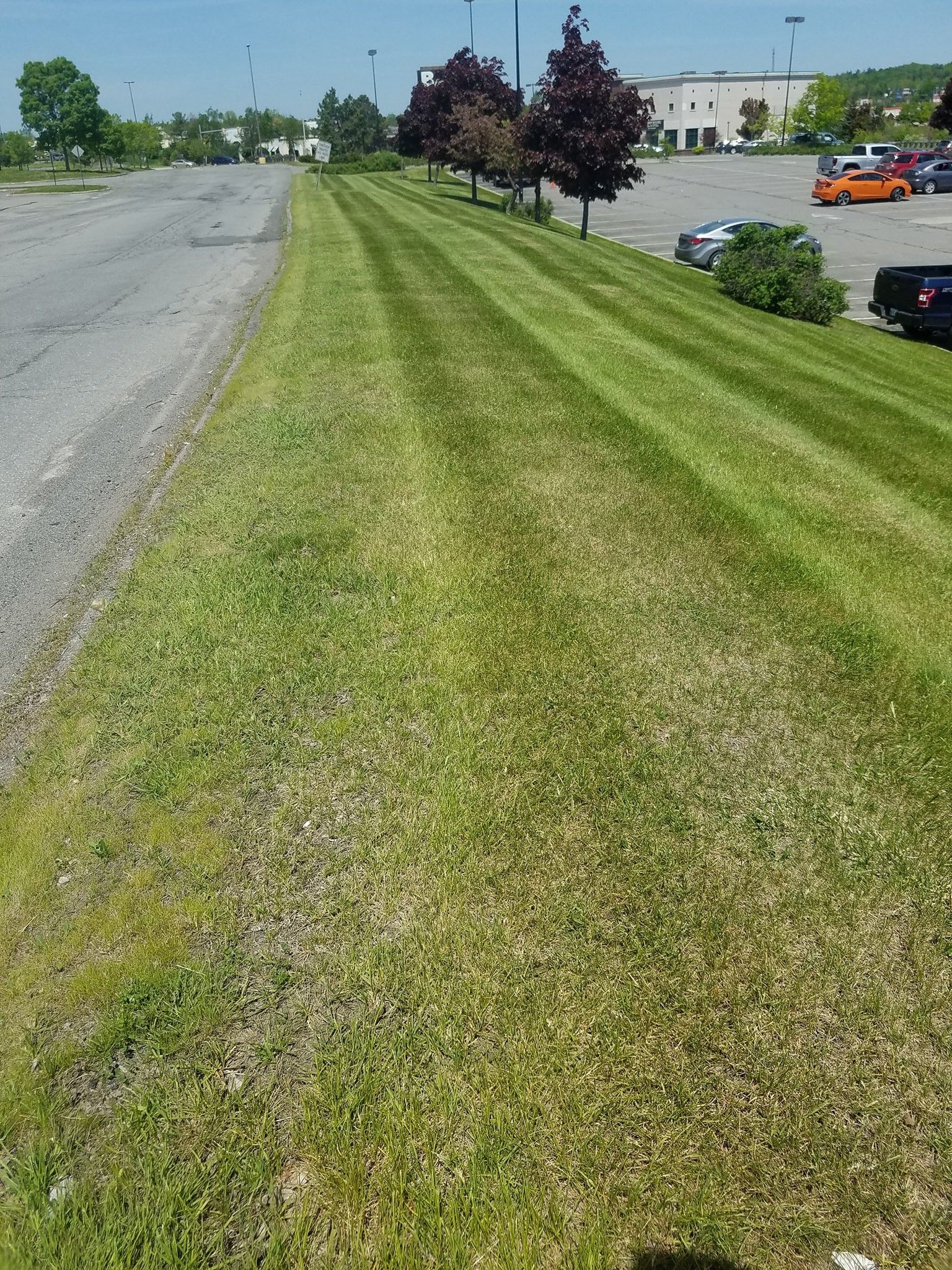 All Photos for Casey's Lawn Service LLC in Orono, ME