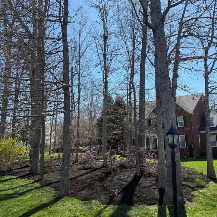 All Photos for C + C Landscaping in Chesterfield, VA