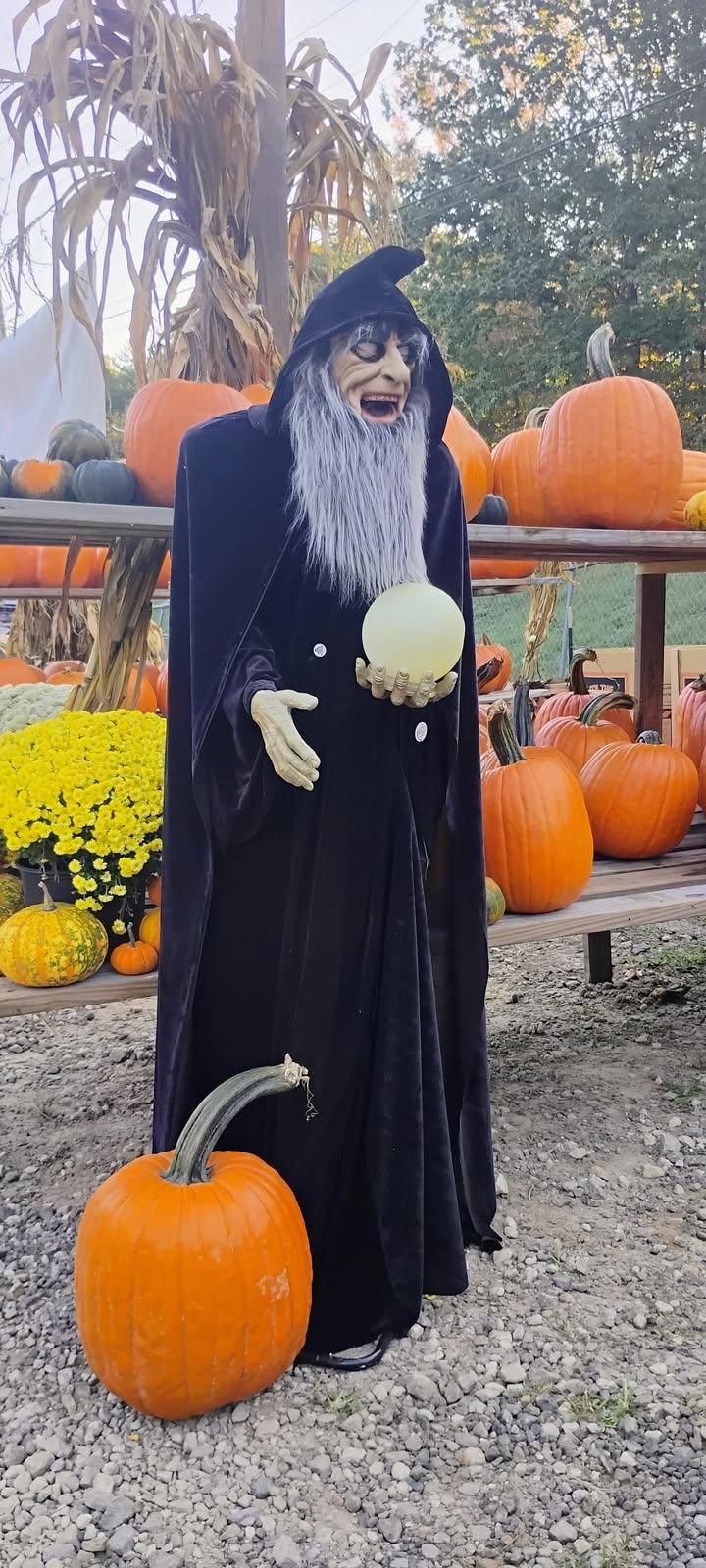 All Photos for BAM Another Pinestraw Lot in Flowery Branch, GA