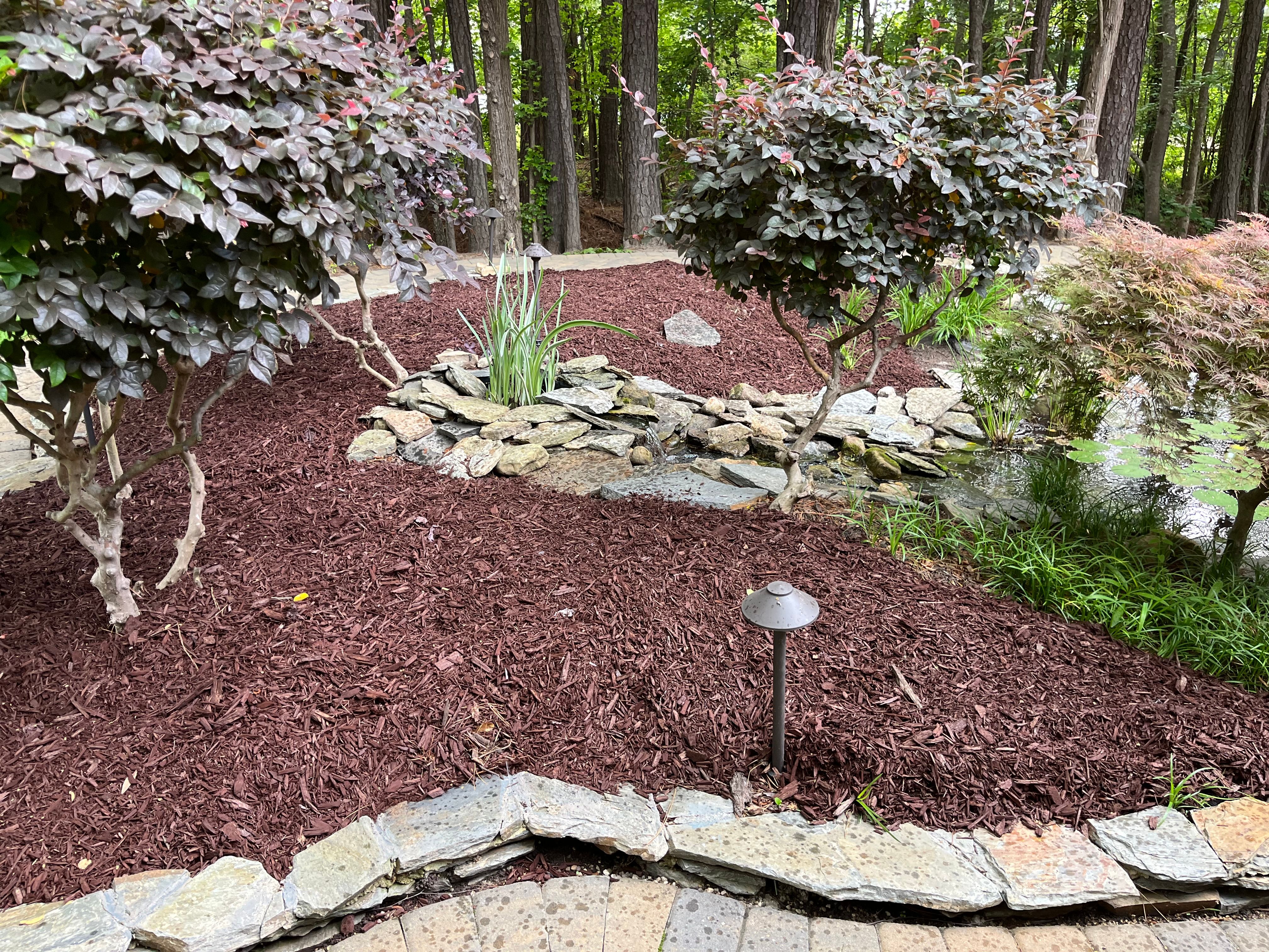  for New Creation Landscaping in Myrtle Beach, SC