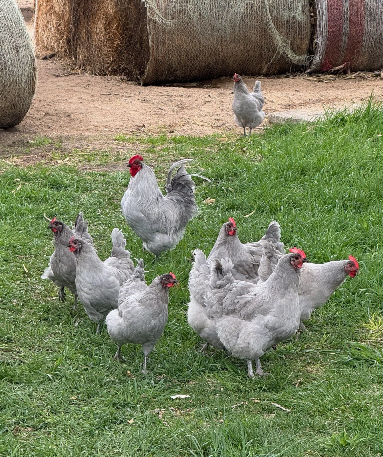  for HDE Services LLC in Grand Island, NE