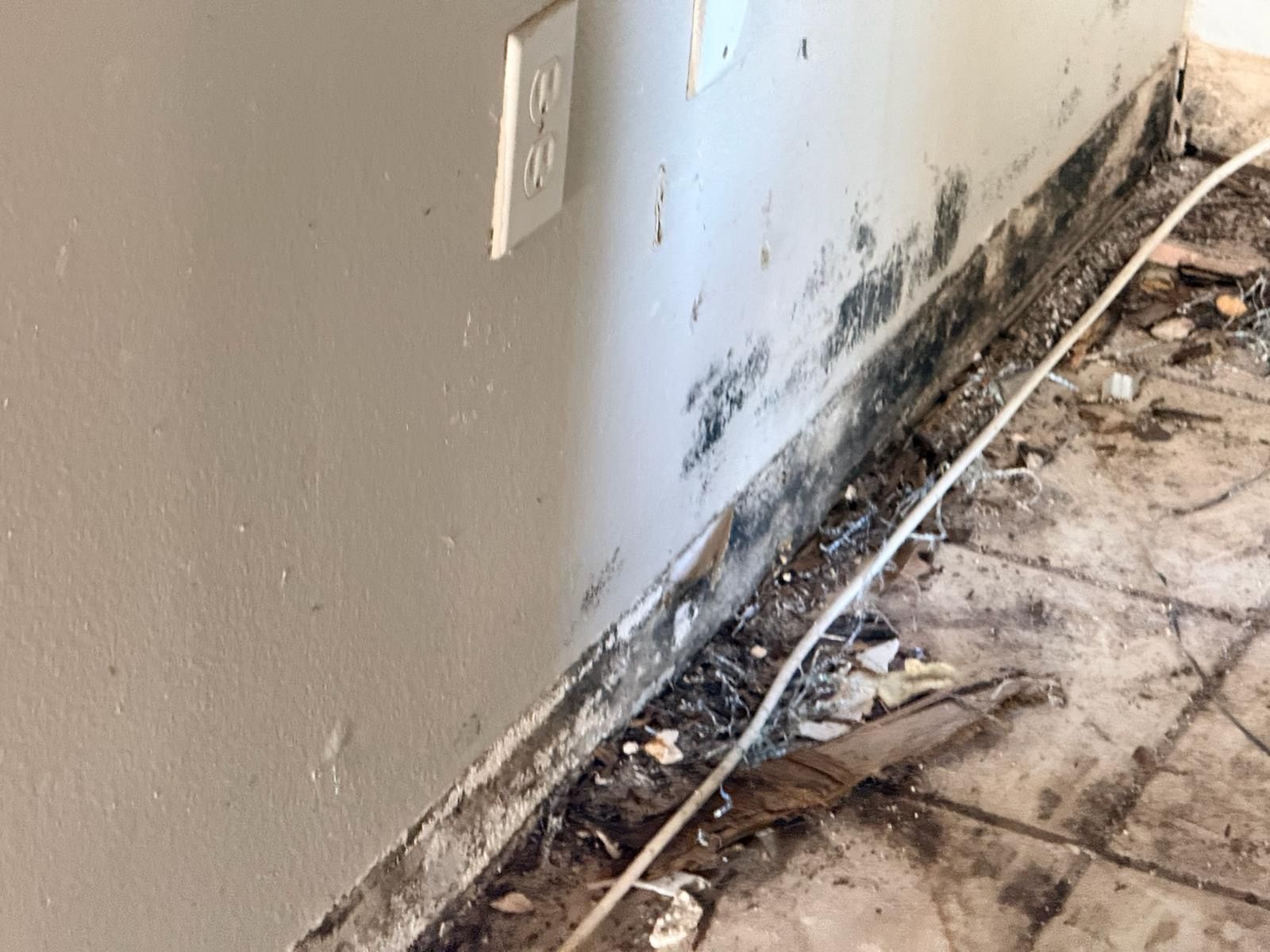  for N&D Restoration Services When Disaster Strikes, We Come In in Cape Coral,  FL