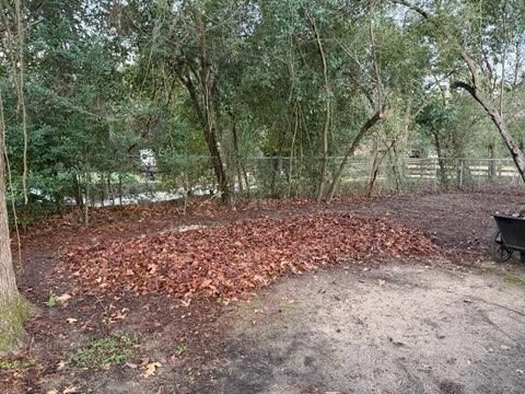  for Servin's Tree Care  in Houston, TX