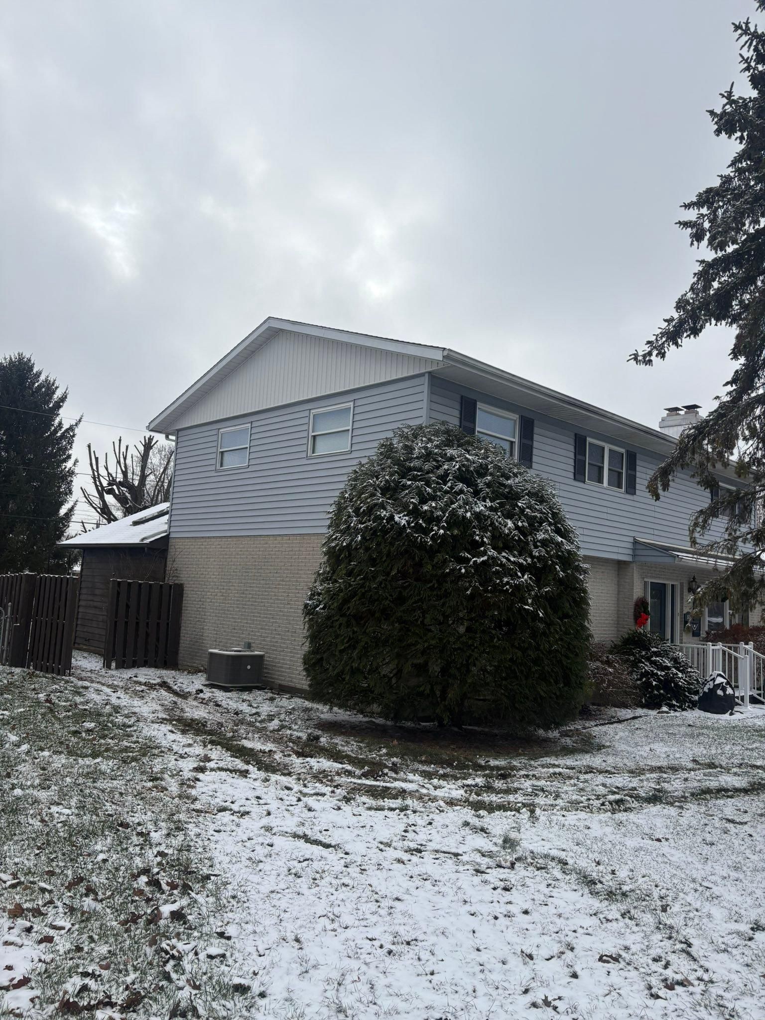  for Dig-It Tree Company in Mason, OH